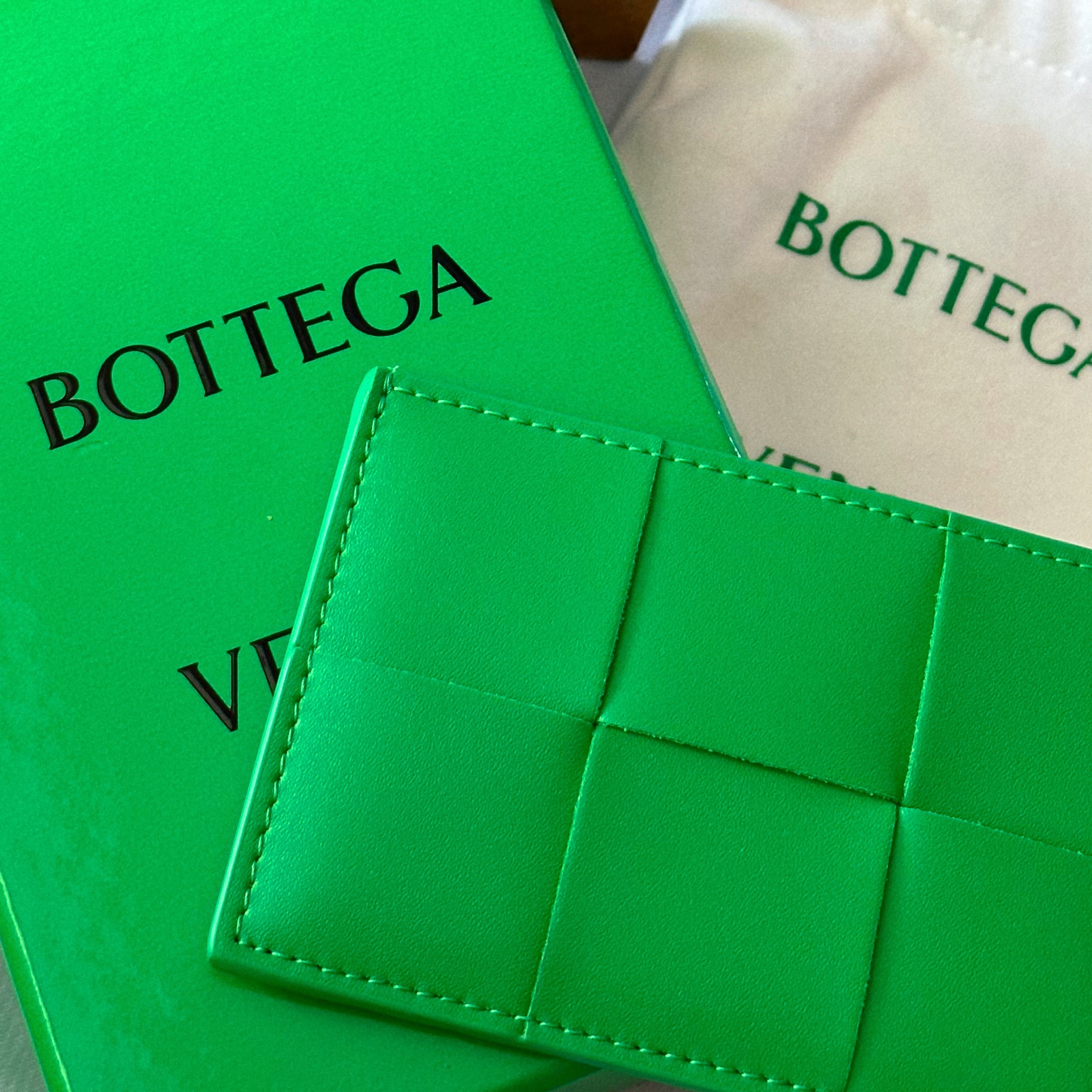 Bottega Veneta Credit Card Case Calfskin Parakeet 착용 스타일