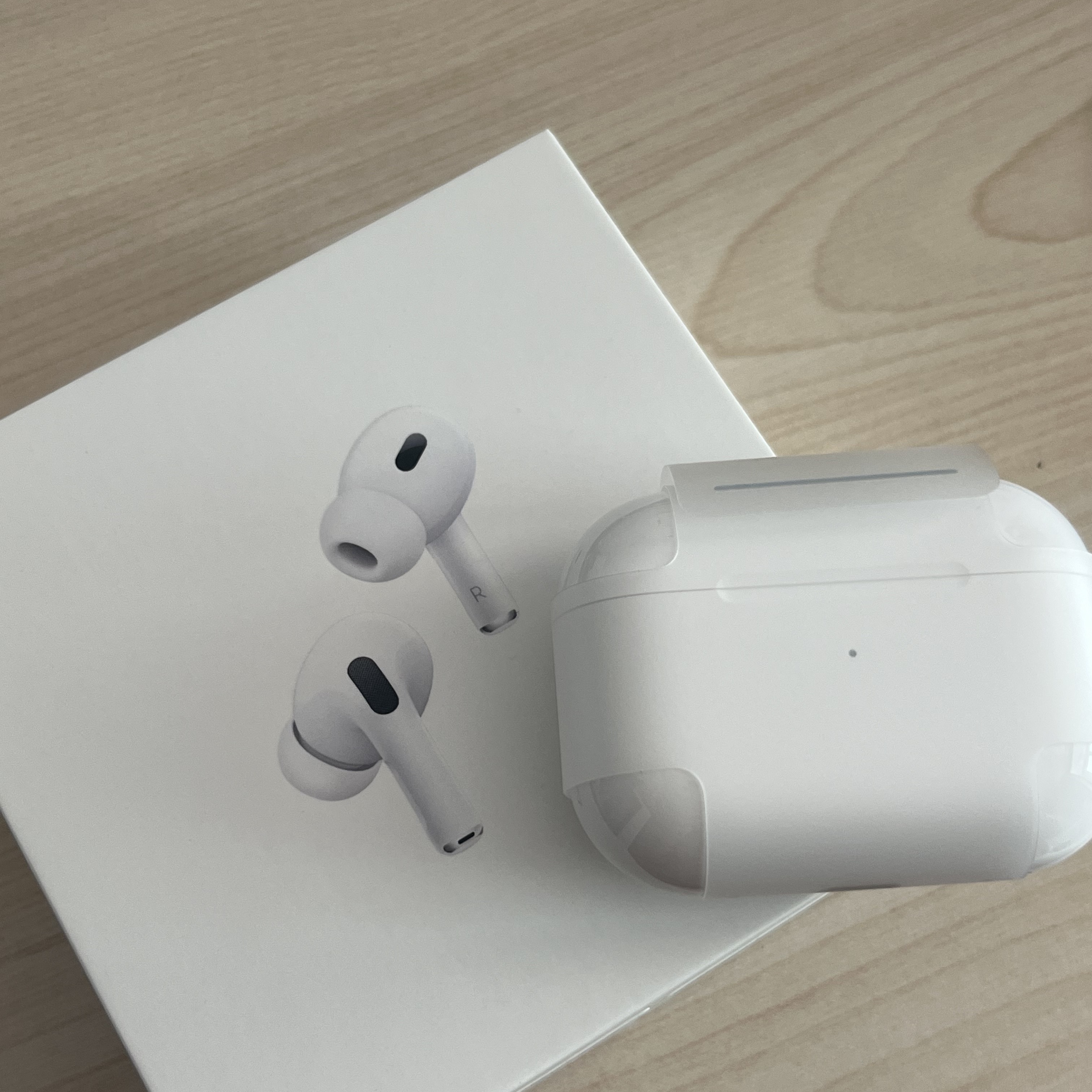 Apple AirPods Pro 2nd Gen (Korean Ver.) 착용 스타일