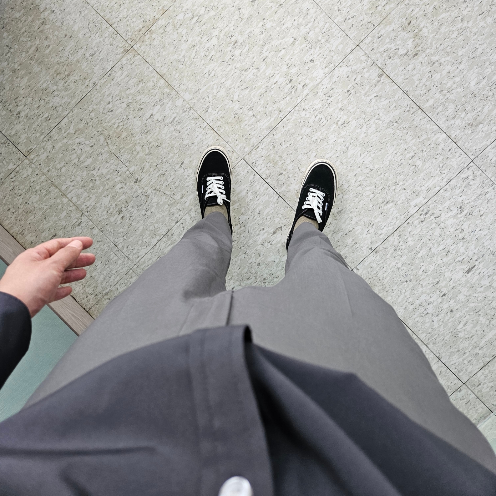 Omega Seamaster Planet Ocean 600M Co Axial Master Chronometer Steel Black, Vans Authentic 44 DX Anaheim Factory Black 착용 스타일 - 2