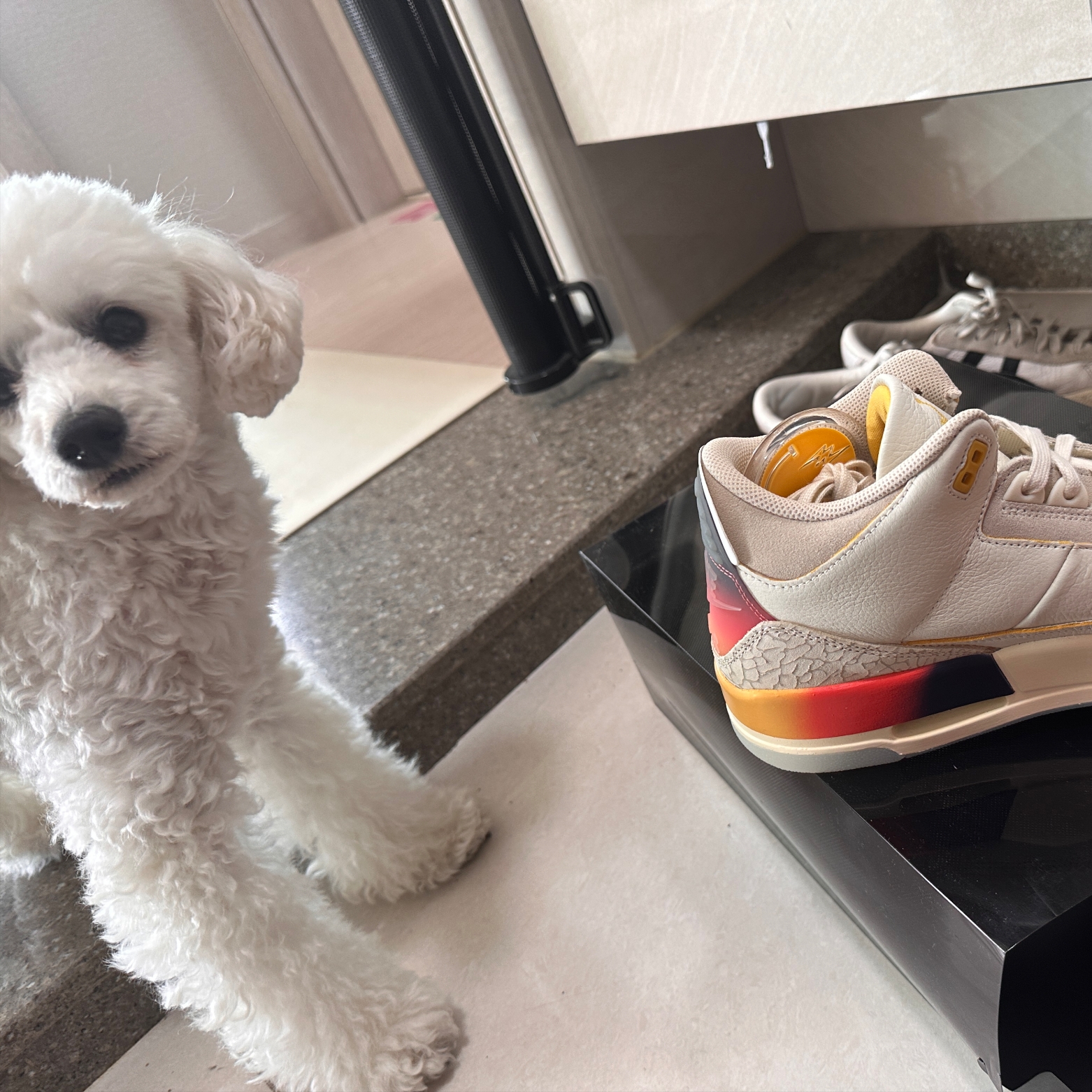 Jordan 3 x J Balvin Retro SP Sunset 착용 스타일 - 3