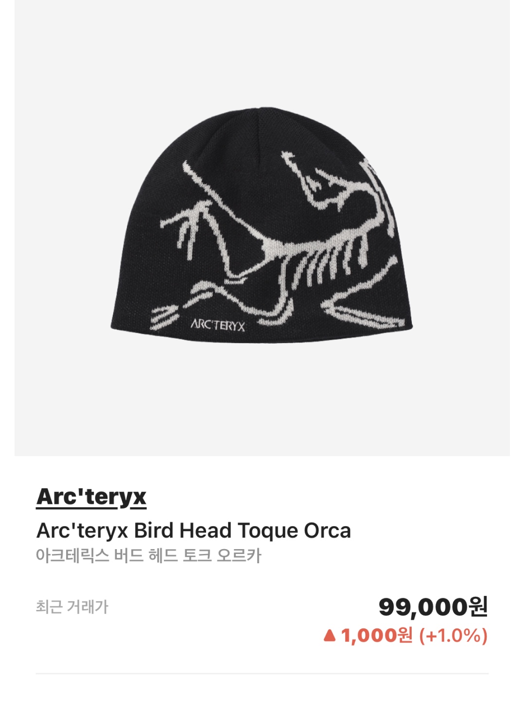 Arc'teryx Bird Head Toque Habitat, Salomon XT-6 Gore-Tex Black Ebony 착용 스타일 - 5