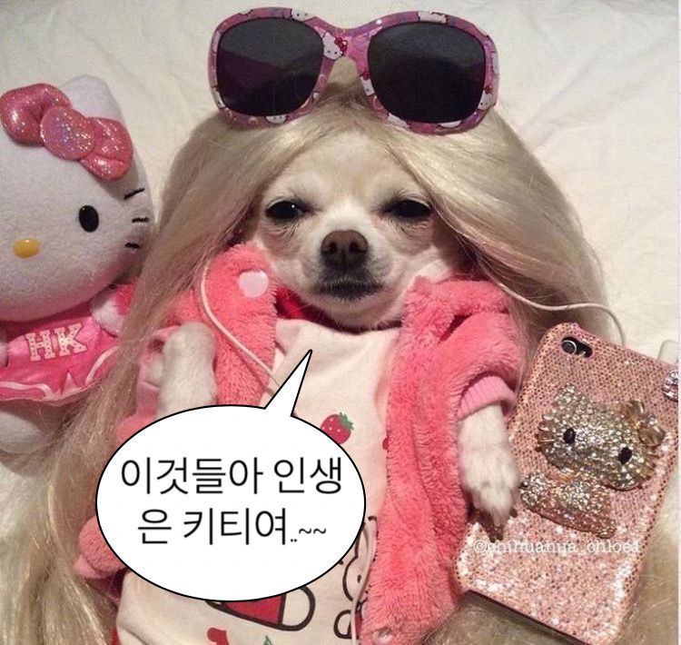 관심 유저 프로필 이미지