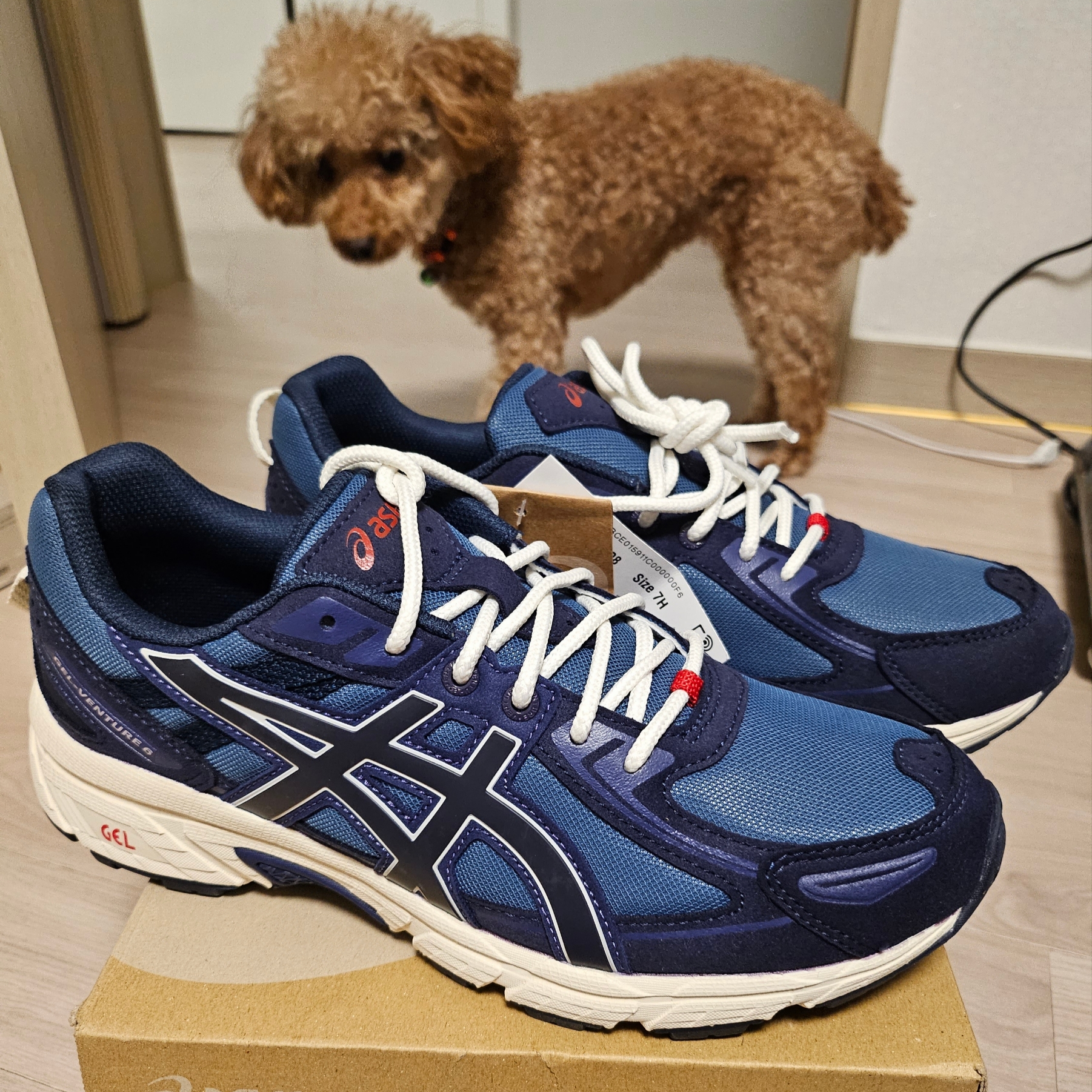 Asics Gel-Venture 6 SPS Grand Shark Midnight 착용 스타일 - 1