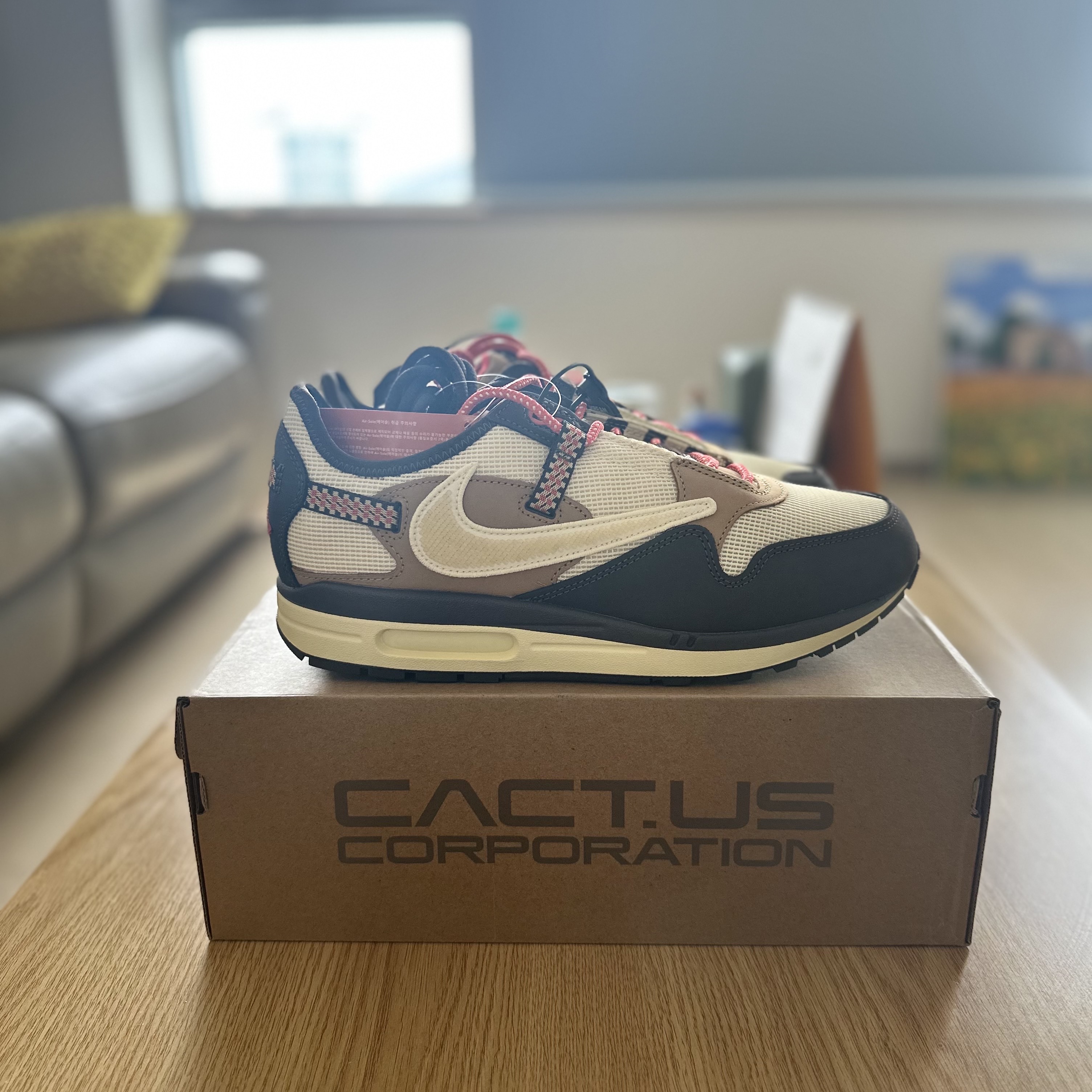 Nike x Travis Scott Air Max 1 Cact.us Brown 착용 스타일 - 1