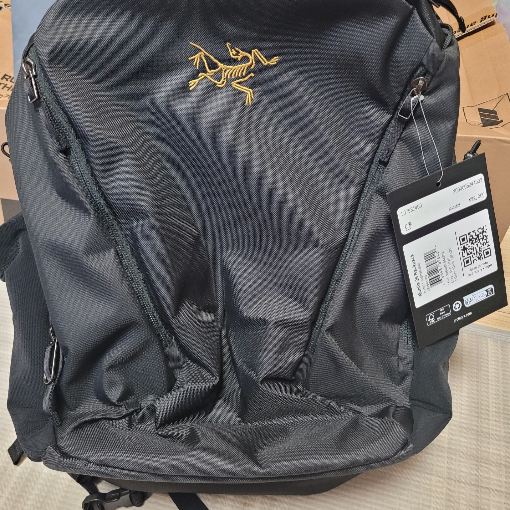 Arc'teryx Mantis 26 Backpack Black 착용 스타일