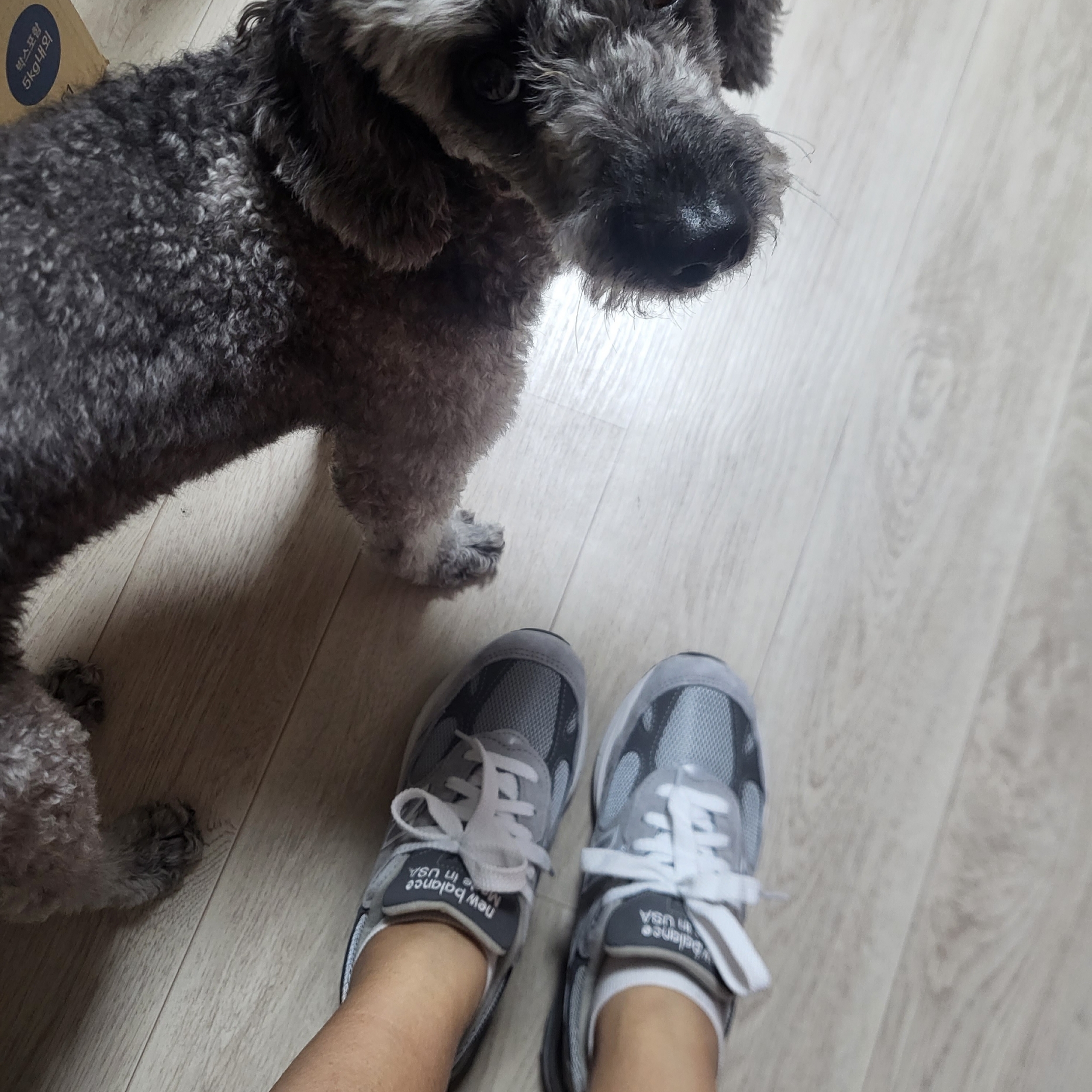 (W) New Balance 993 Made in USA Grey - B Standard 착용 스타일