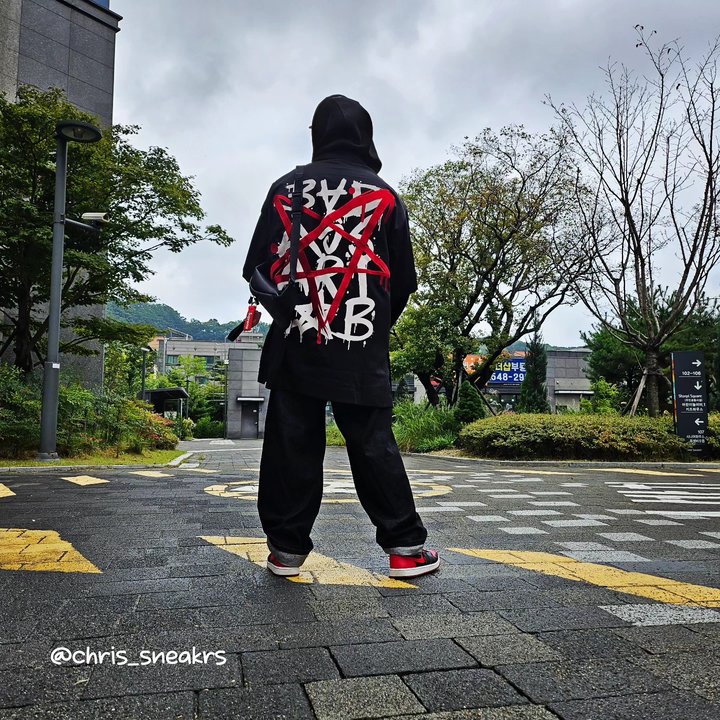 Jordan 1 Mid Bred Banned 2020, Louis Vuitton Discovery PM Bumbag Monogram Shadow Black 착용 스타일