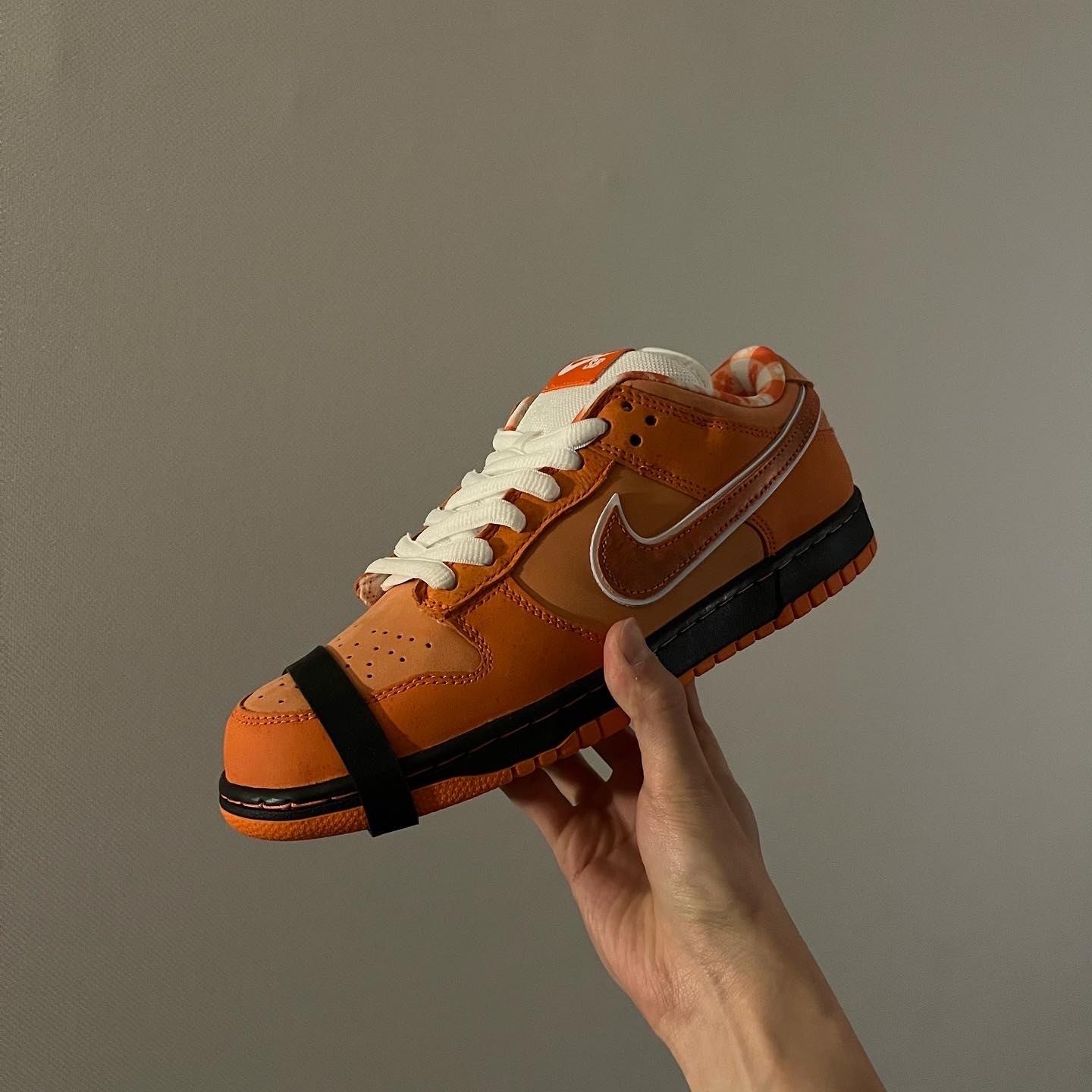 Nike x Concepts SB Dunk Low Orange Lobster (Regular Box) 착용 스타일