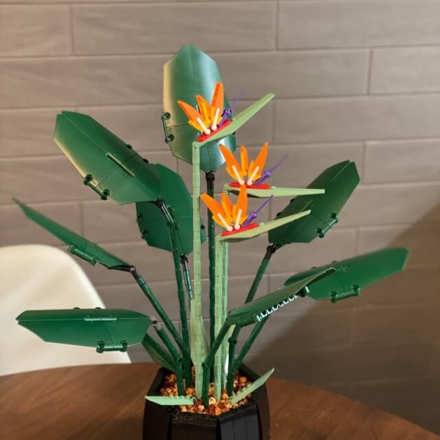 Lego Bird of Paradise 착용 스타일