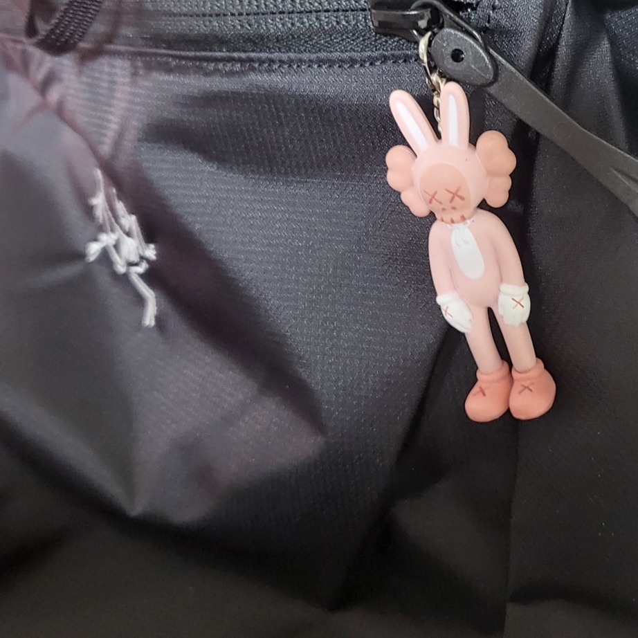 Kaws Tokyo First Accomplice Keychain Pink 착용 스타일