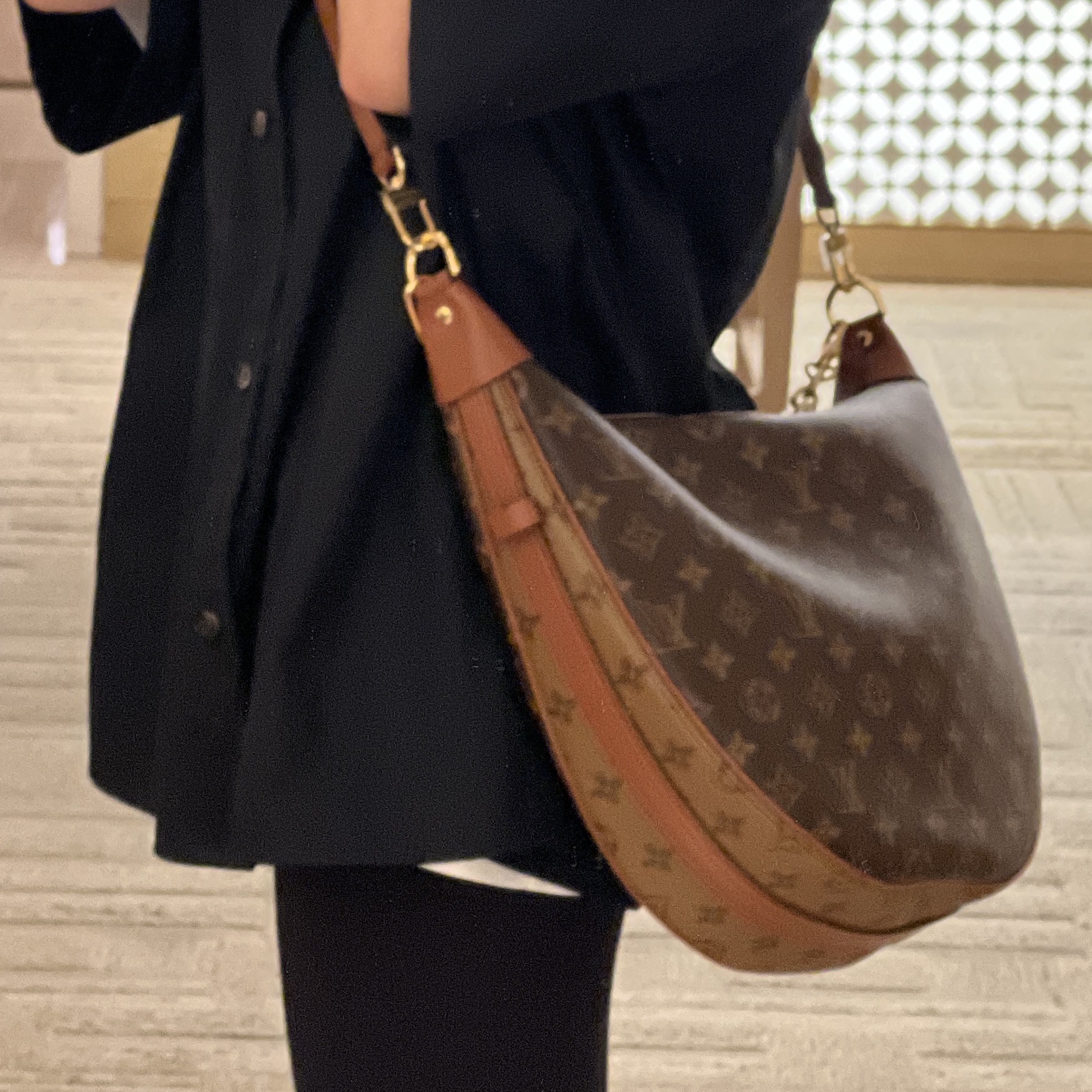 Louis Vuitton Loop Hobo Monogram 착용 스타일