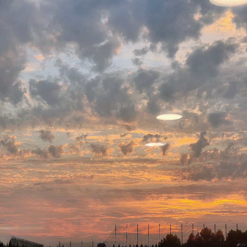 관심 유저 프로필 이미지