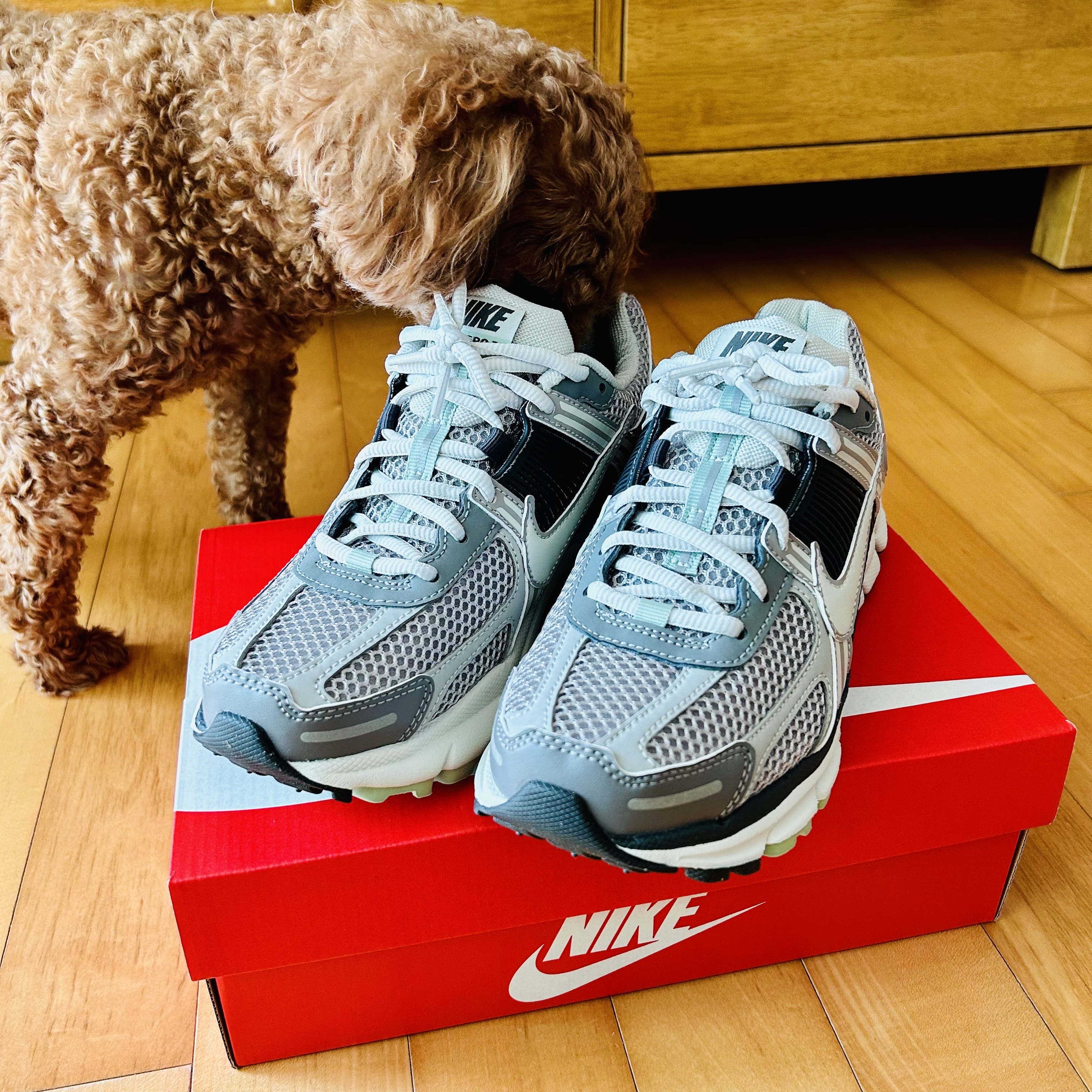 (W) Nike Zoom Vomero 5 Cobblestone and Flat Pewter 착용 스타일 - 1