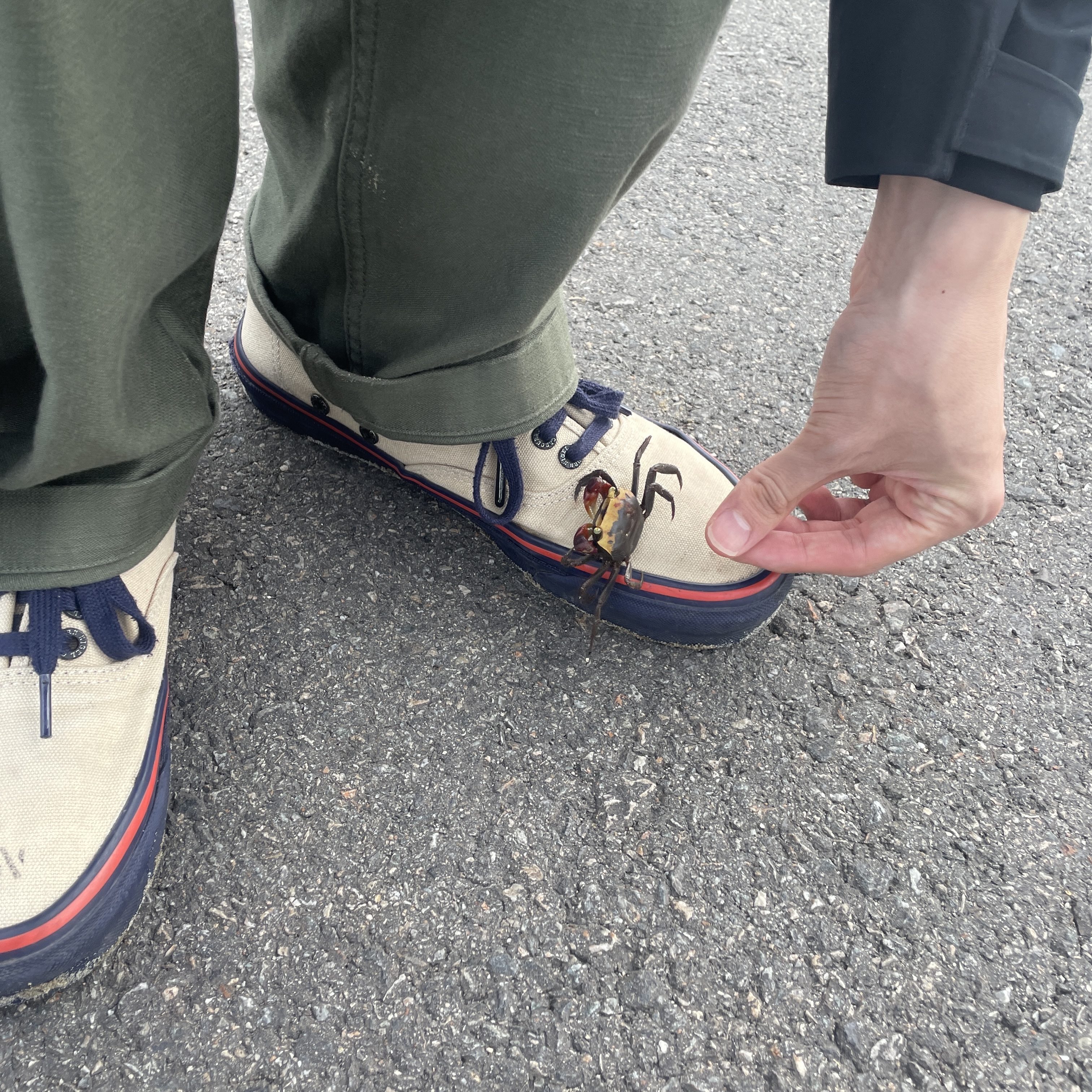 Vans Vault x Nigel Cabourn OG Authentic LX Worn White Navy 착용 스타일
