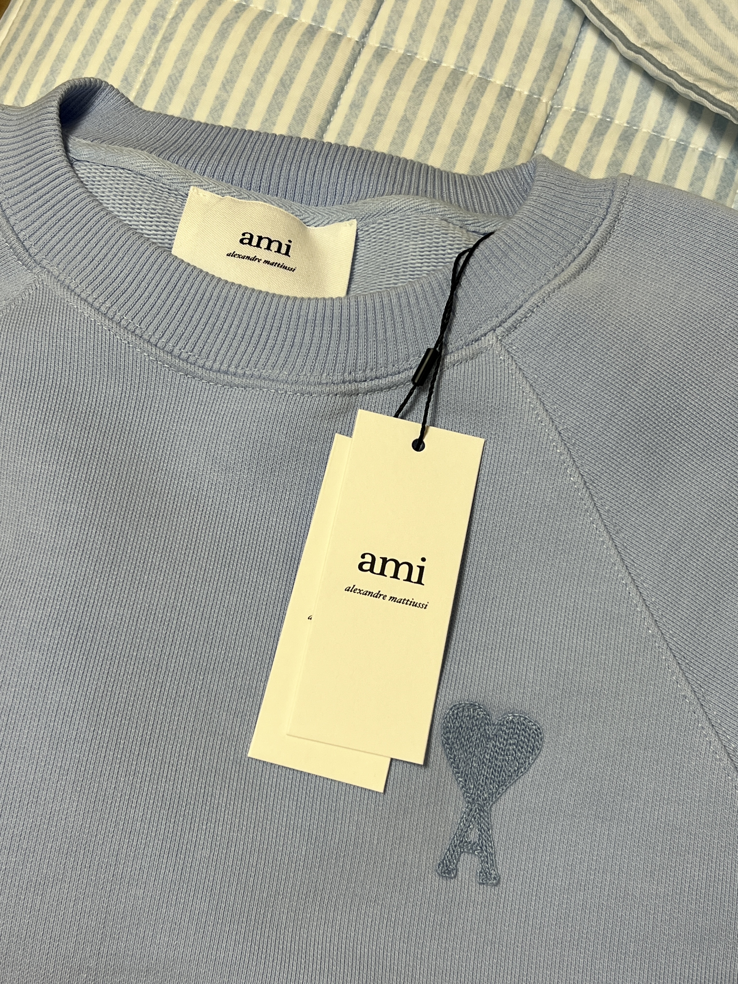 AMI de Coeur Sweatshirt Sky Blue 착용 스타일 - 1
