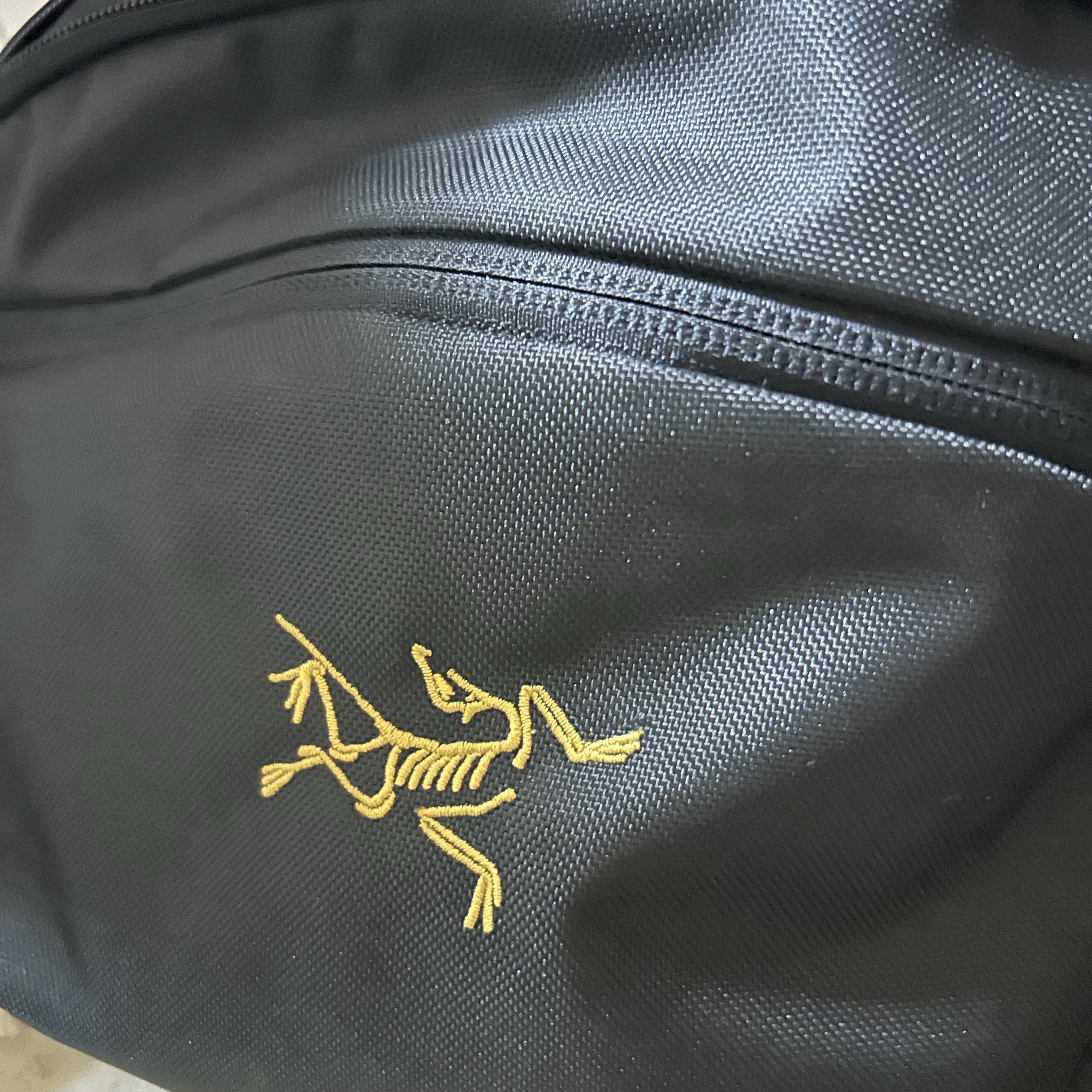 Arc'teryx Mantis 2 Waistpack 24K Black 착용 스타일