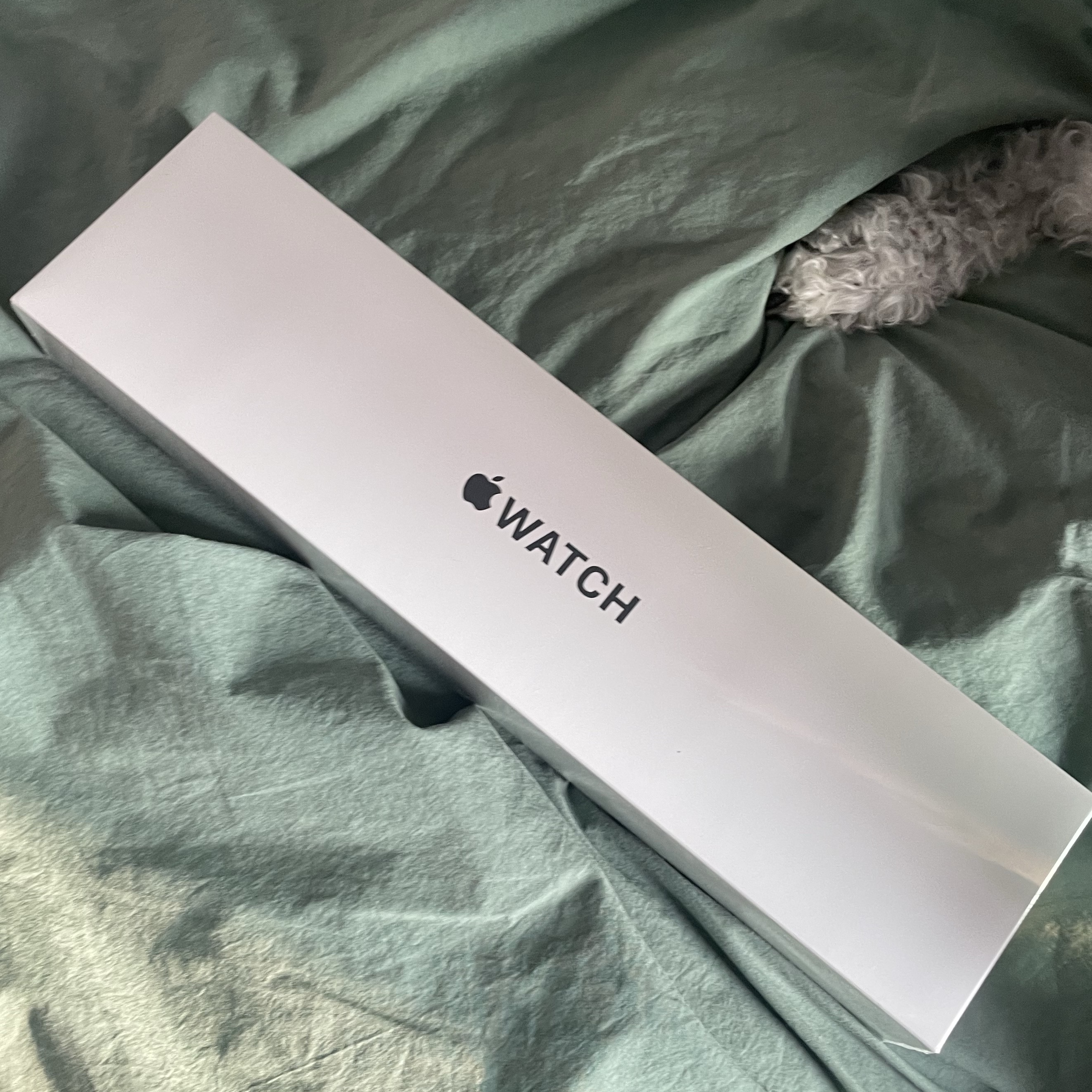 Apple Watch SE 40mm GPS Silver Aluminum Case with Sport Band Abyss Blue (Korean Ver.) 착용 스타일