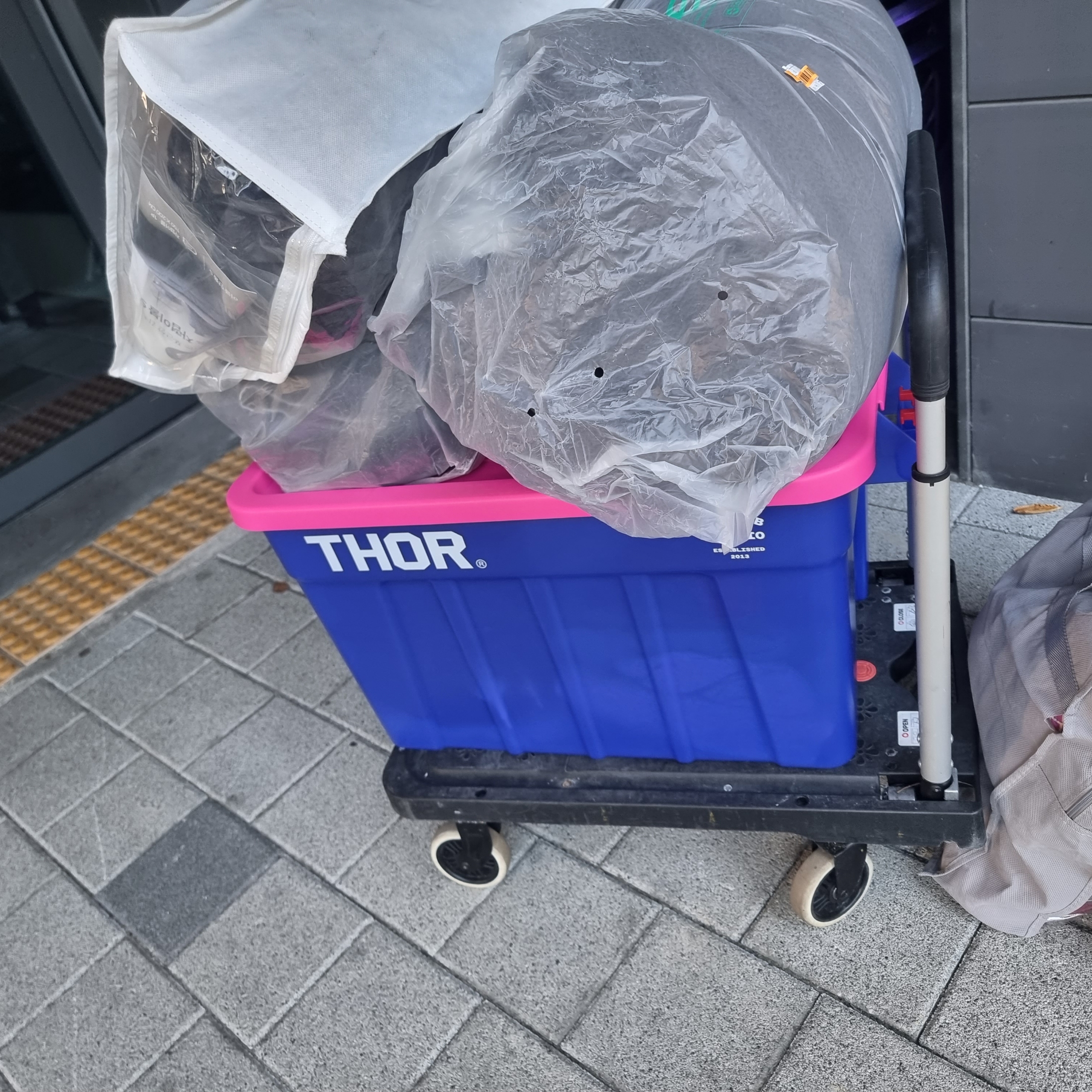 IAB Studio x Thor 75L Container Blue Pink 착용 스타일