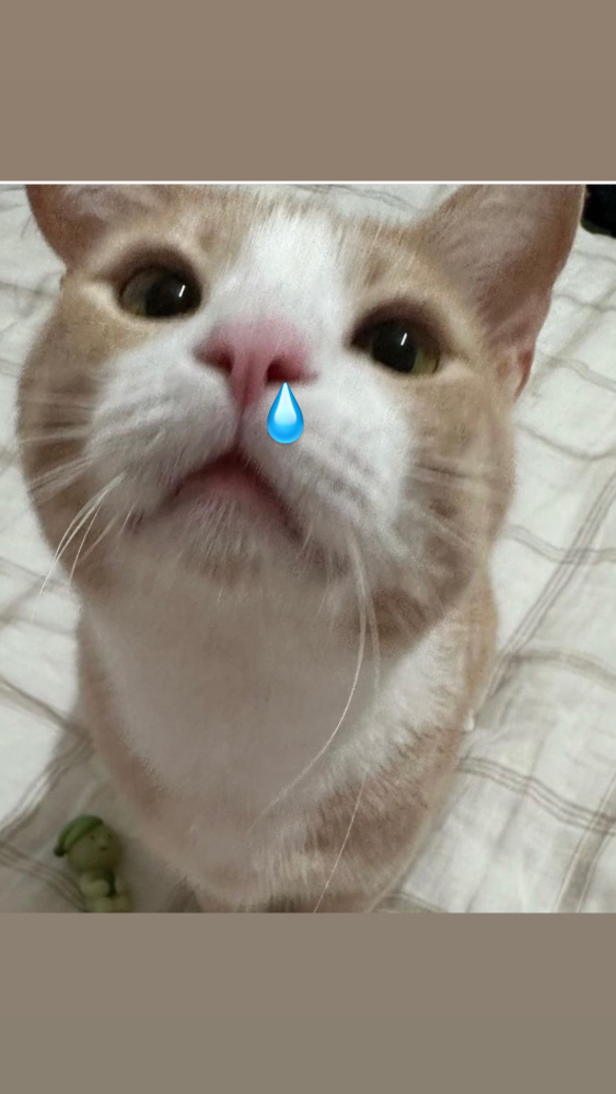 관심 유저 프로필 이미지