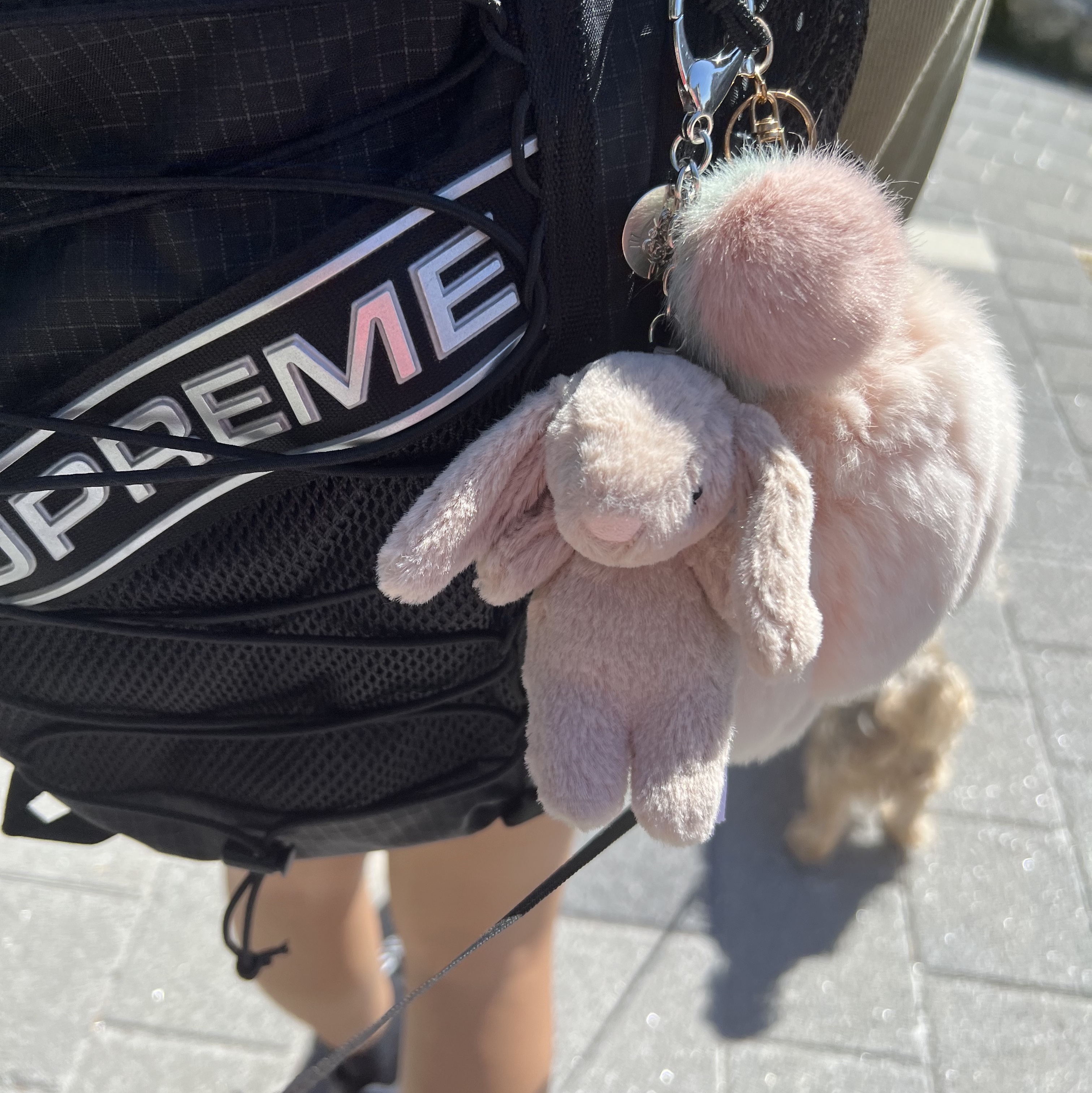 Supreme Backpack Black - 23FW, Jellycat Bashful Bunny Bag Charm Beige 착용 스타일 - 2