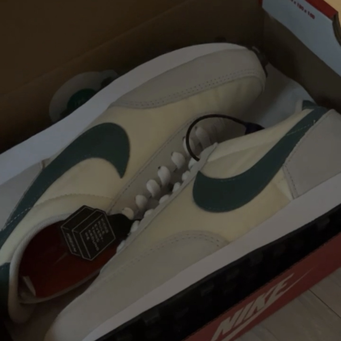 (W) Nike Daybreak Coconut Milk Green 착용 스타일