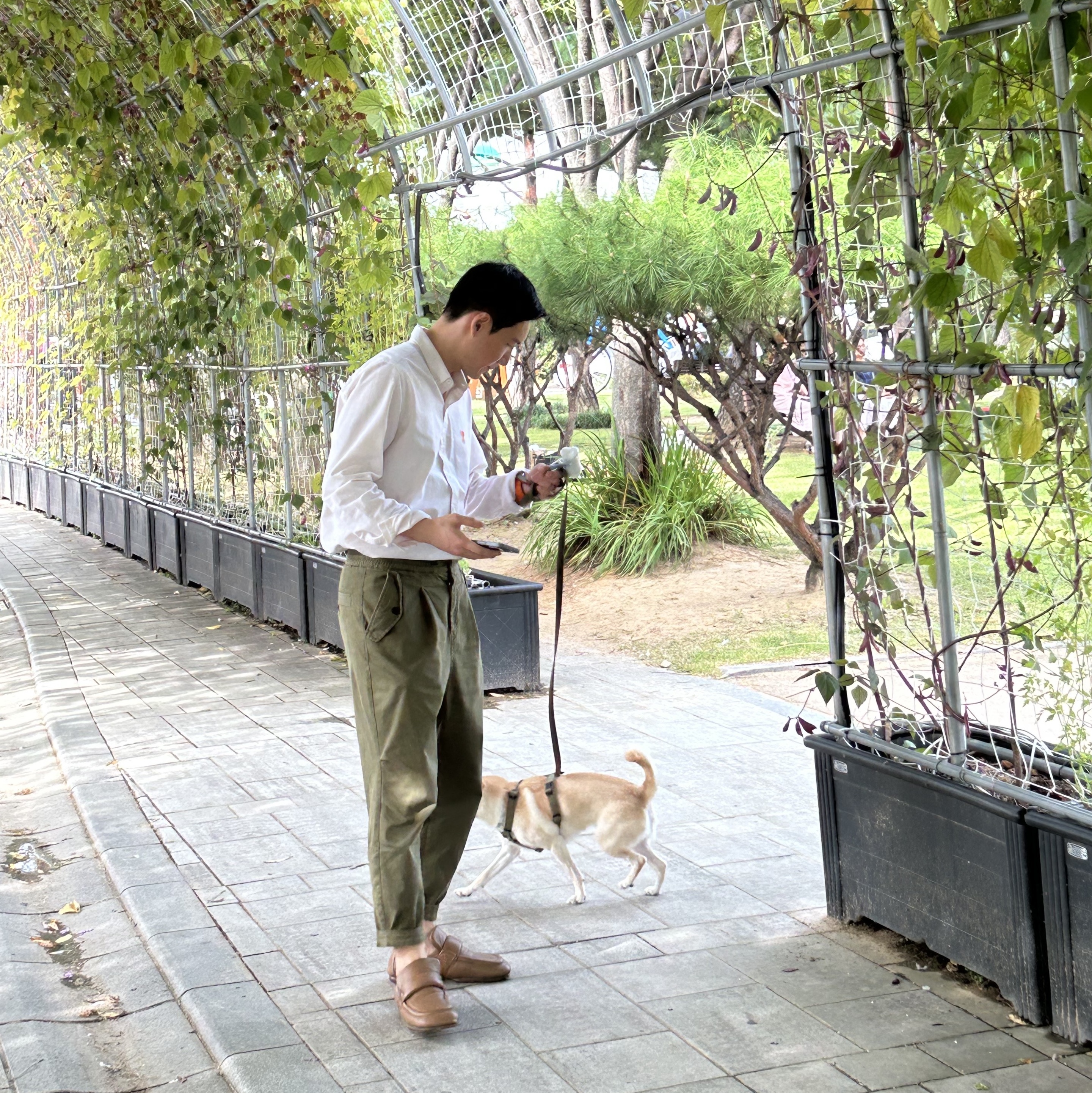 Apple Watch Hermes Series 8 45mm Silver Stainless Steel Case with Single Tour Rose Texas (Korean Ver.), AMI de Coeur Oxford Button Down Shirt Natural White 착용 스타일 - 2