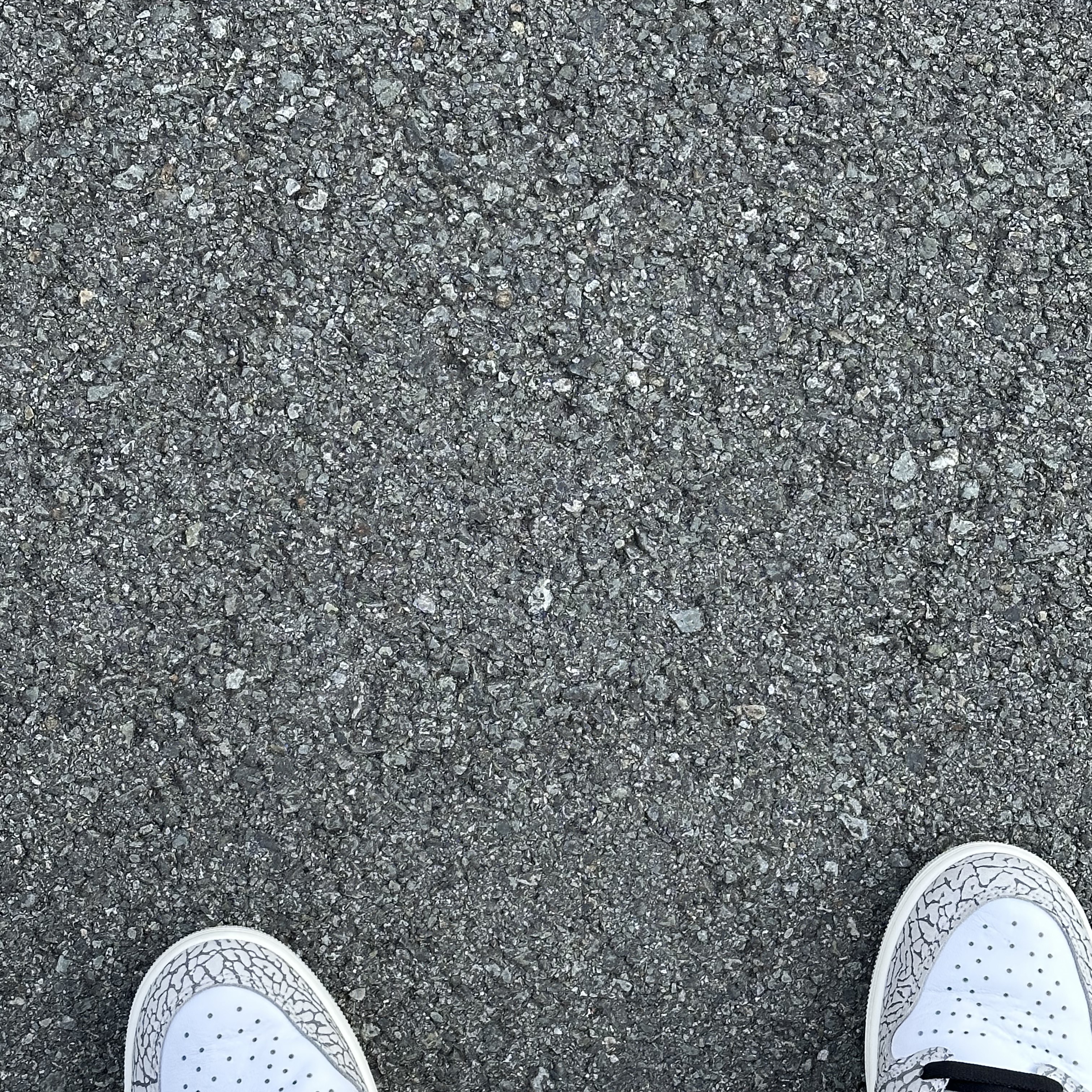 Jordan 1 Retro High OG White Cement 착용 스타일