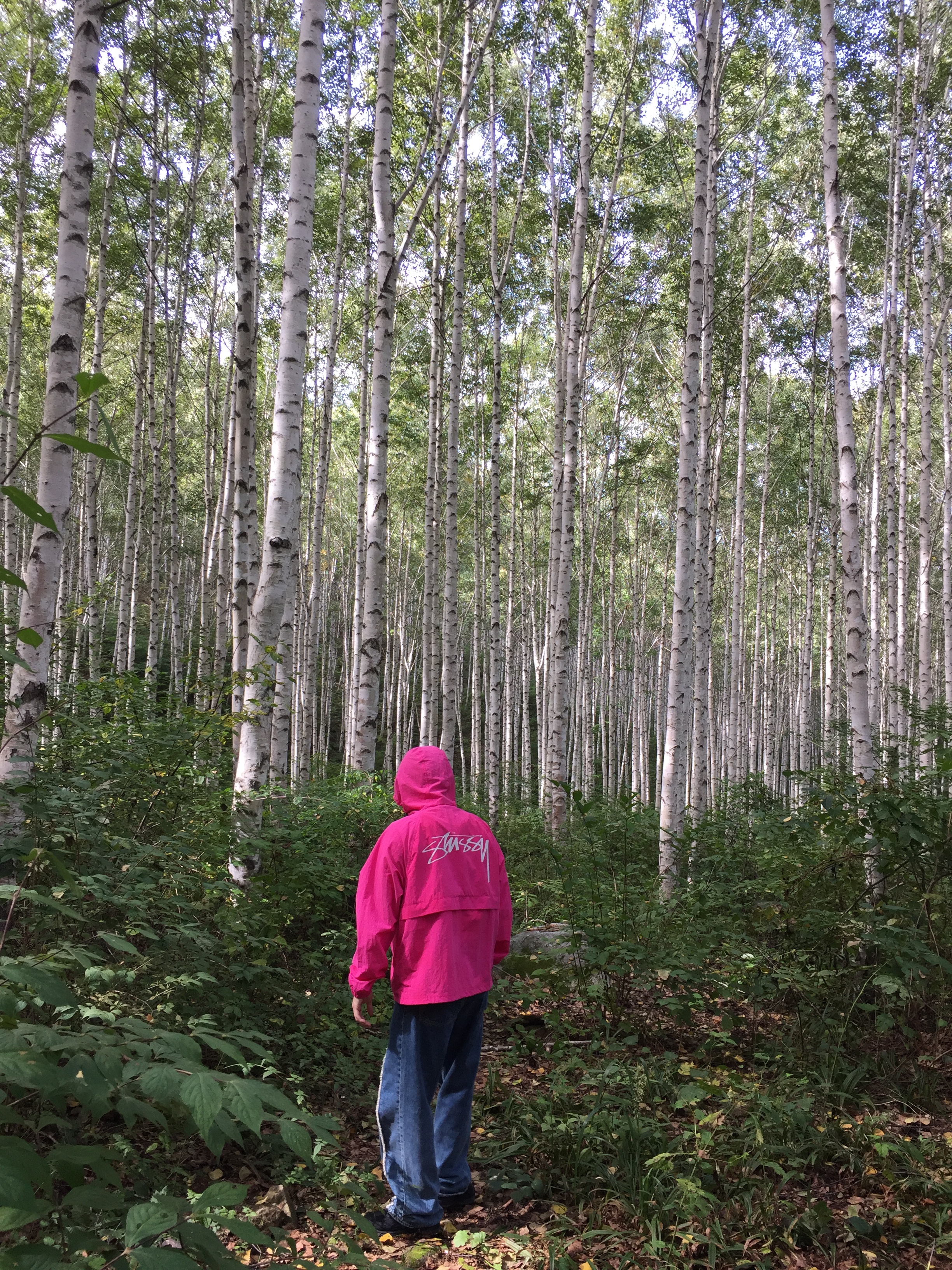 Stussy Wave Dye Beach Shell Jacket Fuchsia, Our Legacy Third Cut Slash Denim 착용 스타일 - 1