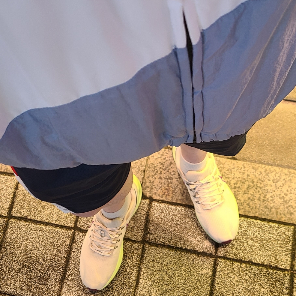 Nike Air Zoom Pegasus 39 Light Orewood Burn, Nike NSW Big Swoosh Woven Jacket - US/EU 착용 스타일