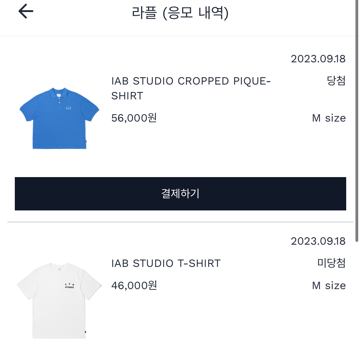 이민트님의 스타일 - 2