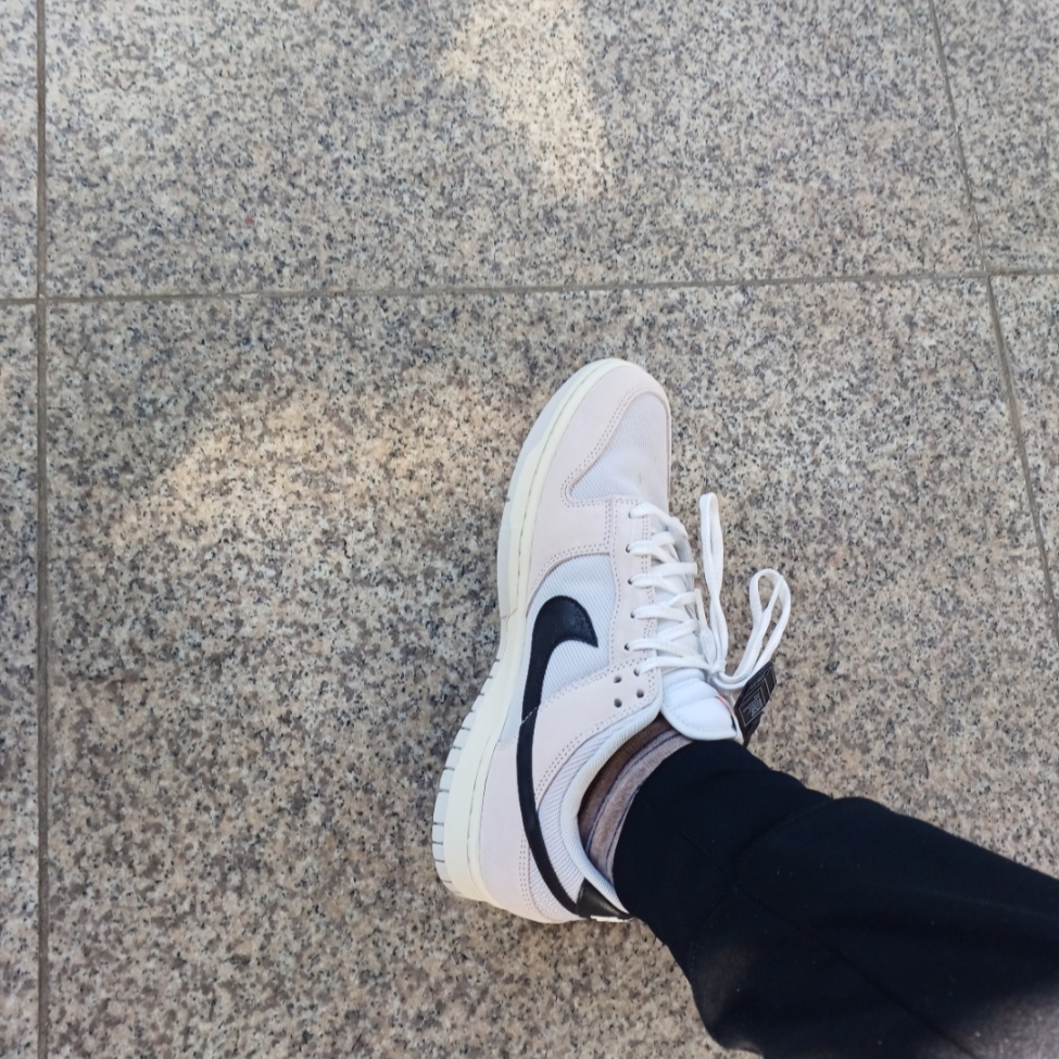 Nike Dunk Low SE Photon Dust and Summit White 착용 스타일