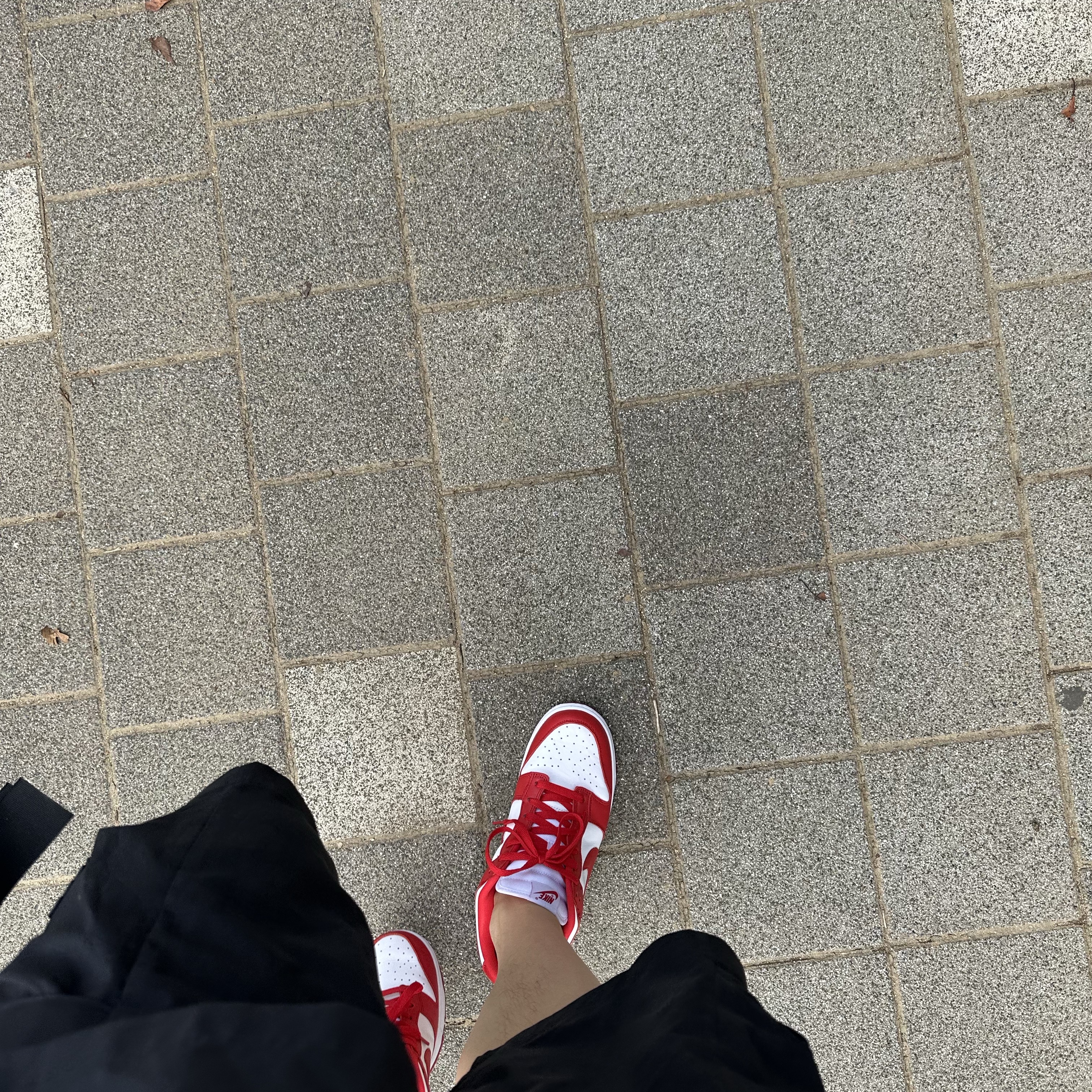 Nike Dunk Low SP White and University Red 2023 착용 스타일