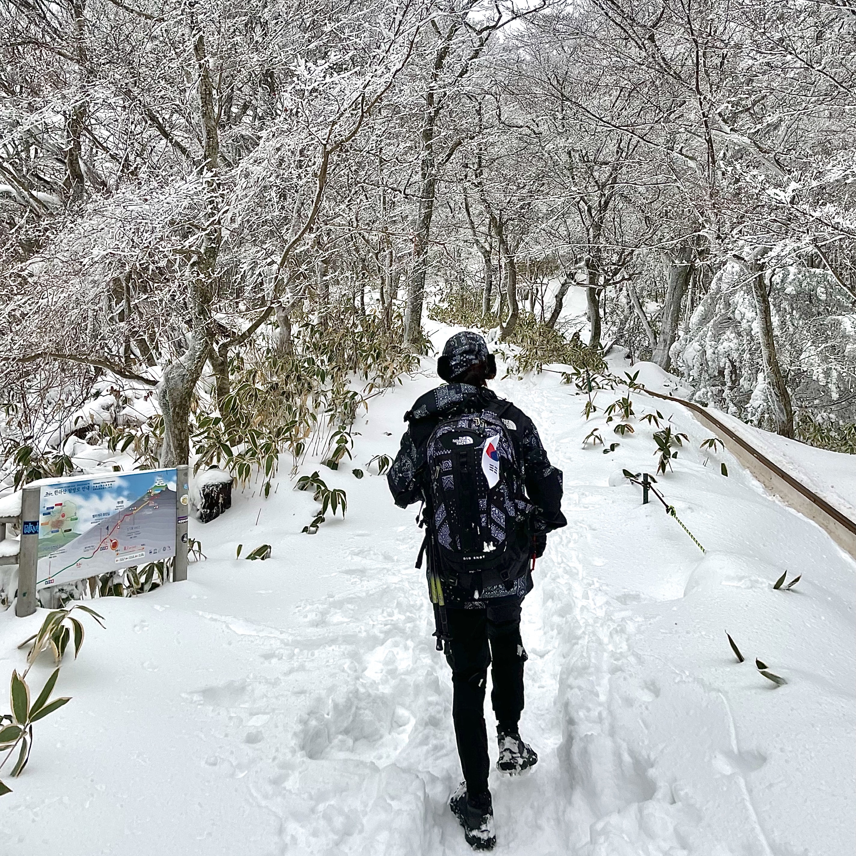 The North Face Big Shot Jet Black, The North Face Novelty Eco GTX Mountain Jacket Black 착용 스타일 - 1