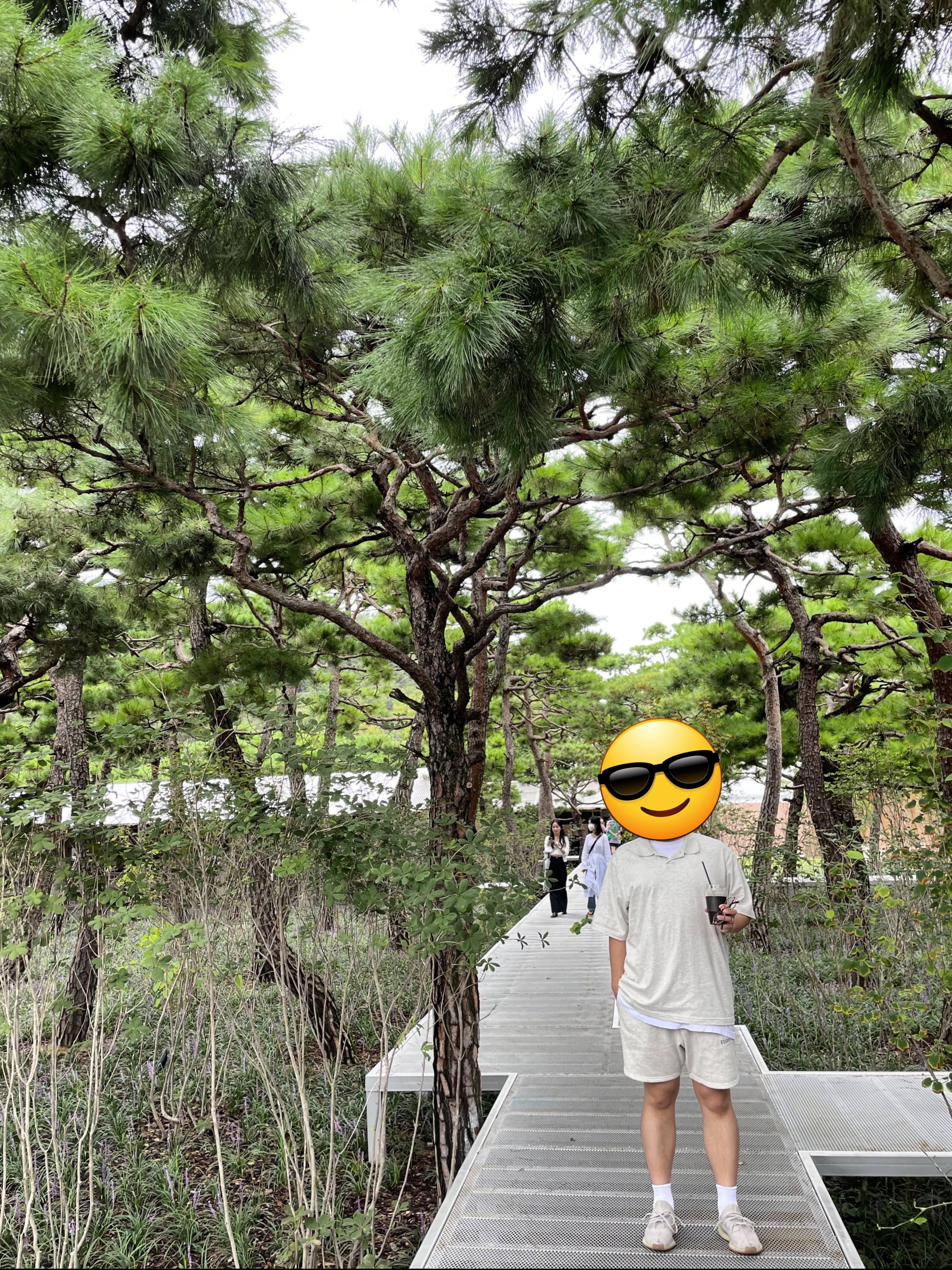 Essentials Short Sleeve Polo Oatmeal - 21SS, Essentials Sweatshorts Oatmeal - 21SS 착용 스타일
