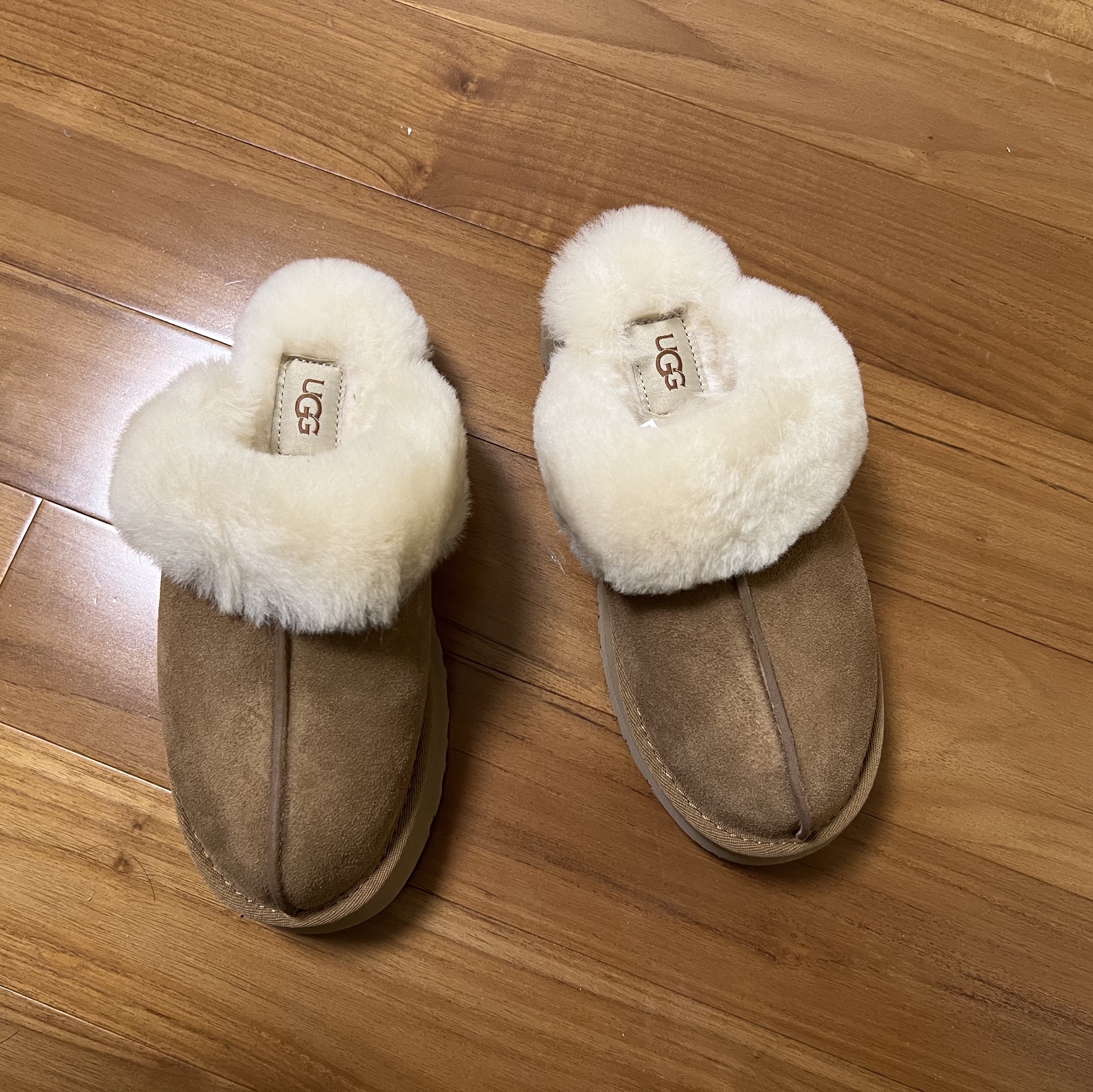 (W) UGG Disquette Slipper Chestnut 착용 스타일