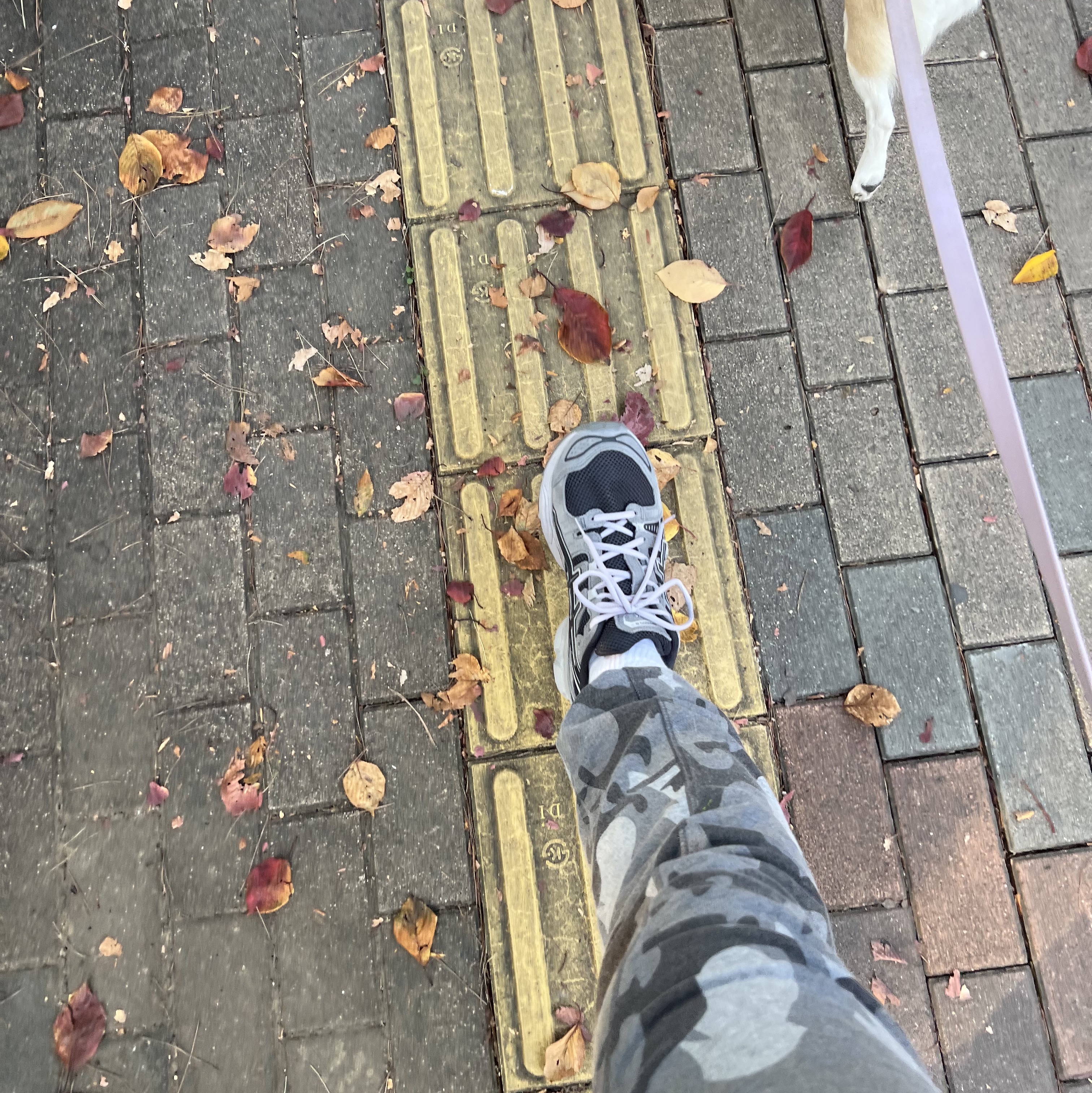 Asics Gel-Nimbus 9 Obsidian Grey Clay 착용 스타일