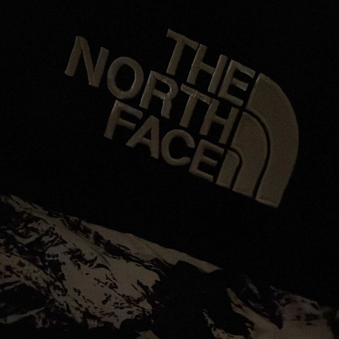 The North Face 1996 Novelty Nuptse Jacket Nutral Gray 착용 스타일