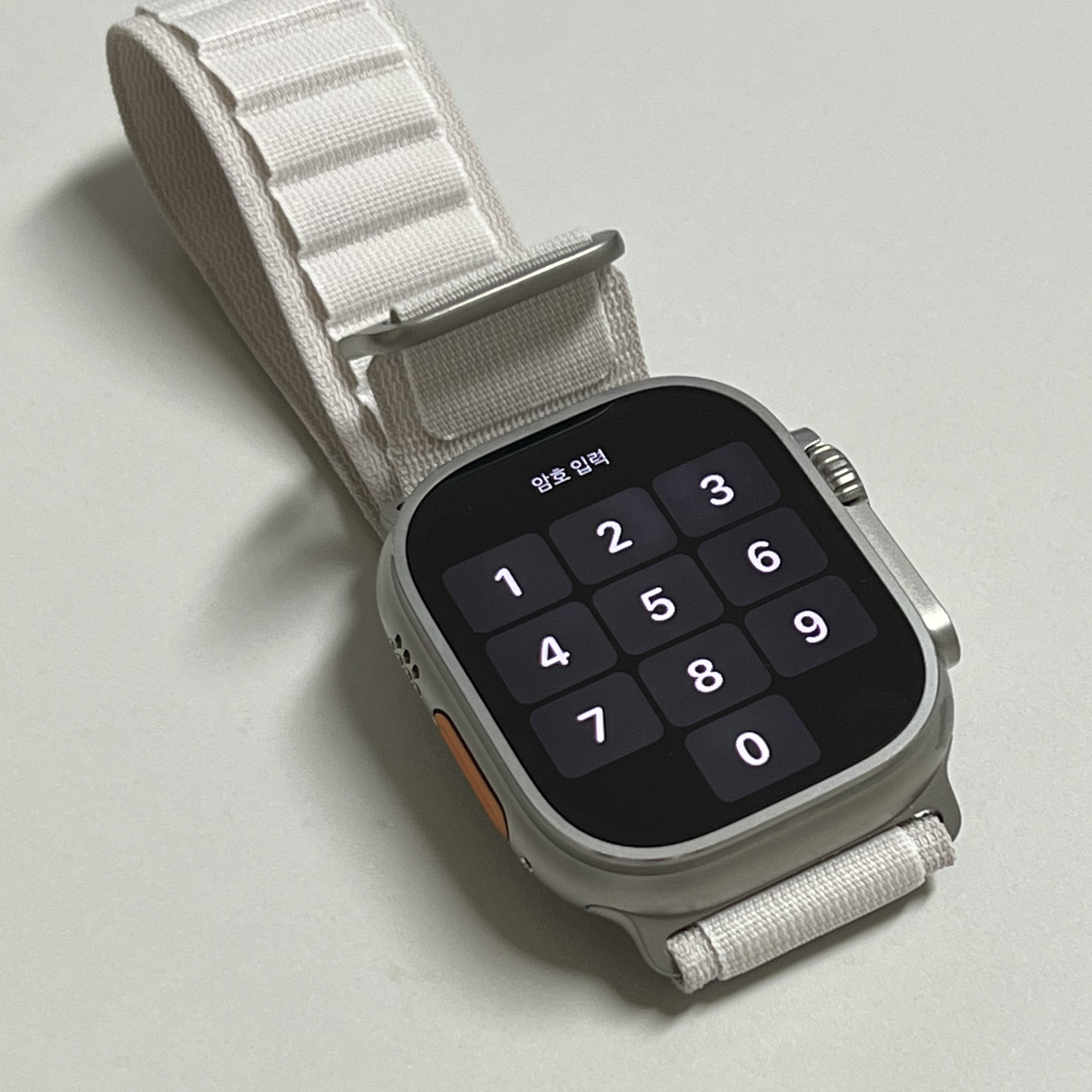 Apple Watch Ultra 49mm Titanium Case with M Alpine Loop Starlight (Korean Ver.) 착용 스타일