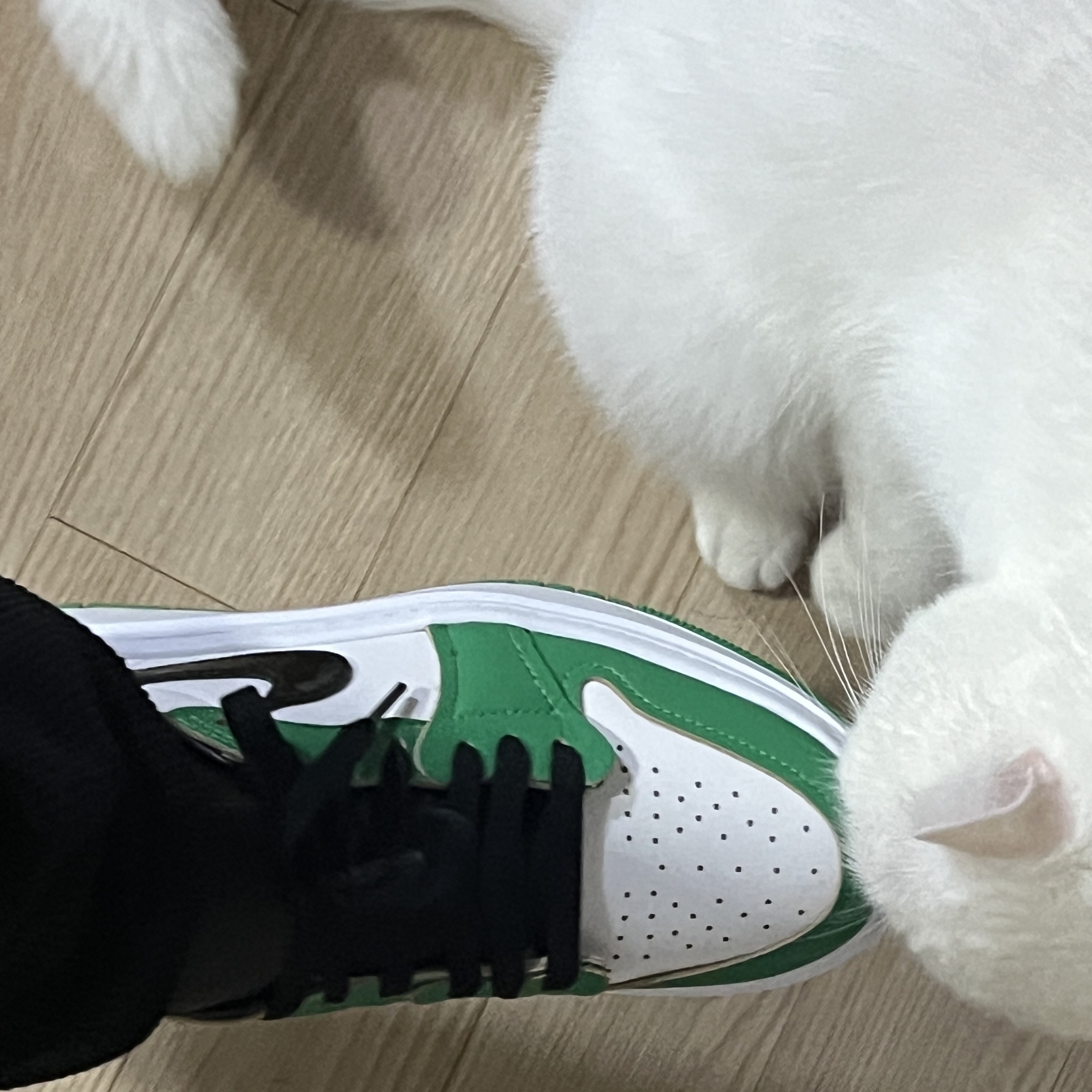 (W) Jordan 1 Elevate Low SE Lucky Green 착용 스타일 - 1