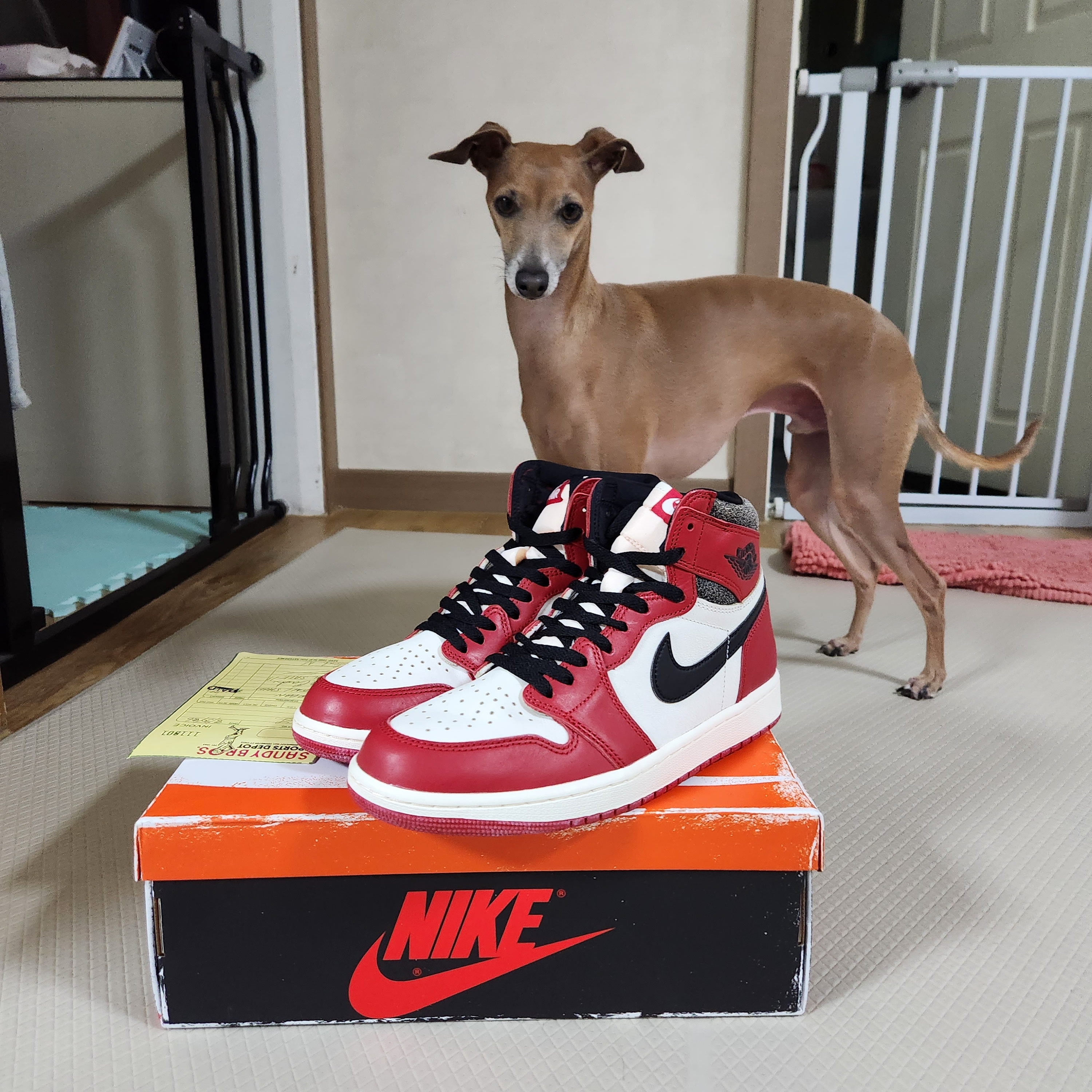 Jordan 1 Retro High OG Chicago 2022 착용 스타일