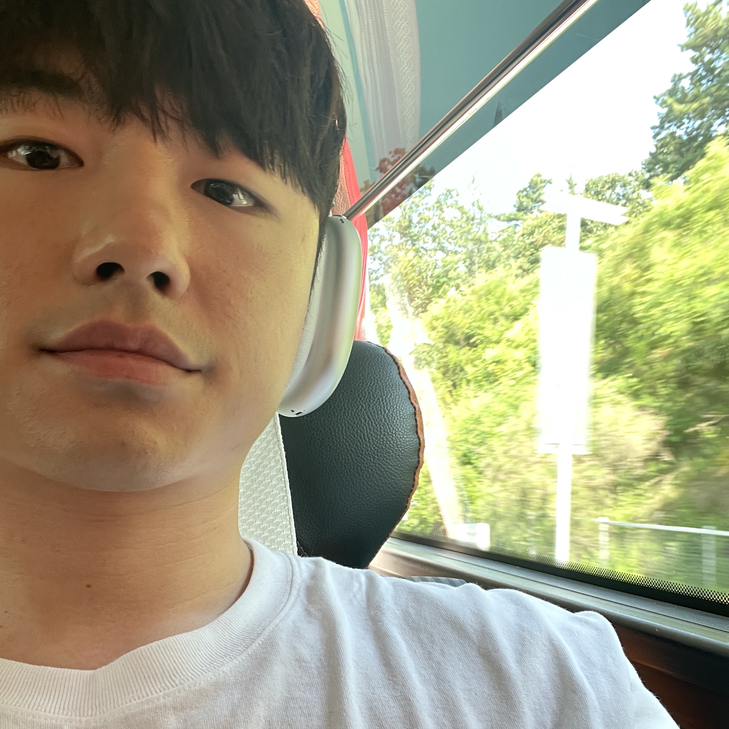 Apple AirPods Max Lightning Silver (Korean Ver.) 착용 스타일
