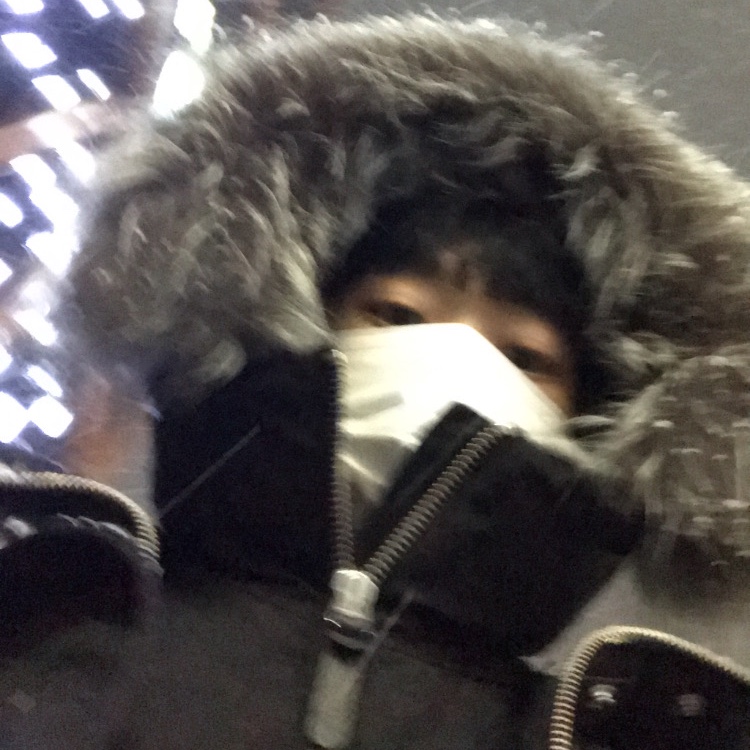 Mackage Edward 2-In-1 Down Parka with Hooded Bib and Silver Fox Fur Black Silver 착용 스타일