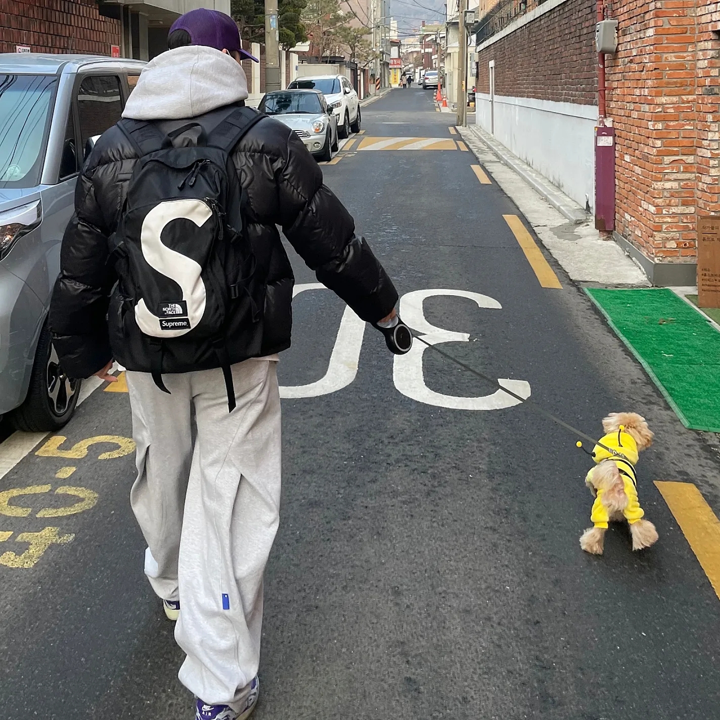 Zara x Ader Error Jogger Pants Grey, Supreme x The North Face S Logo Expedition Backpack Black - 20FW 착용 스타일 - 1