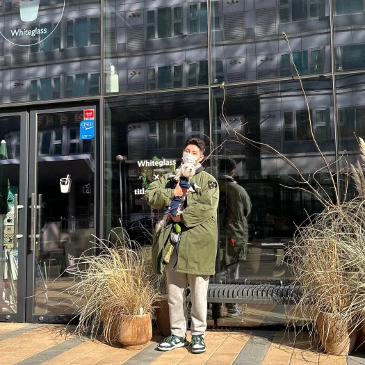 스타일 카드