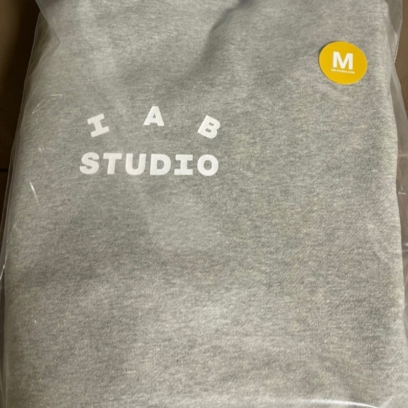 IAB Studio Hoodie Gray - 21SS 착용 스타일