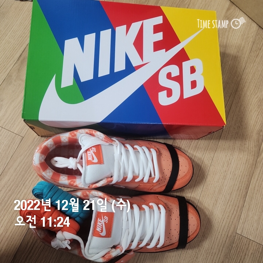 Nike x Concepts SB Dunk Low Orange Lobster (Regular Box) 착용 스타일