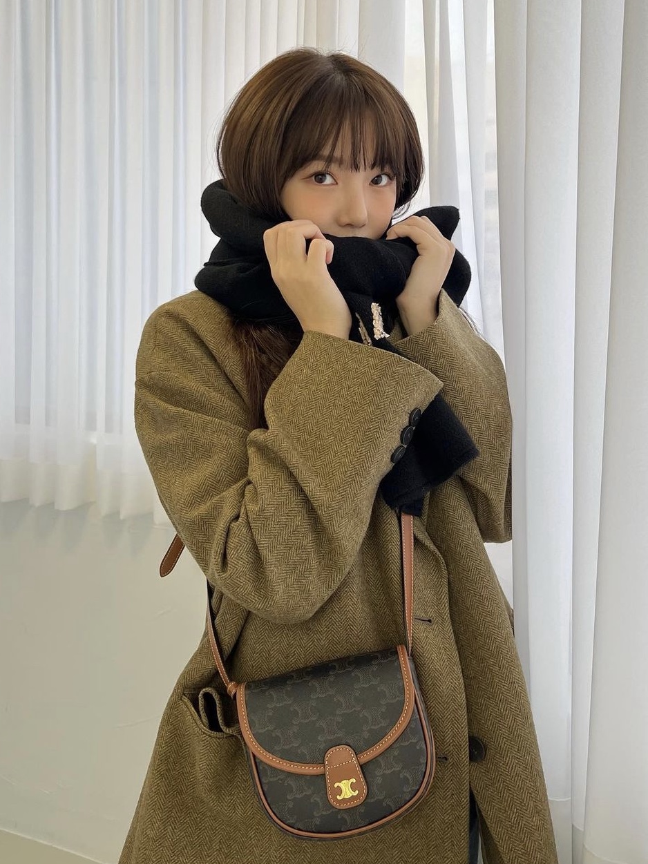Celine Mini Besace in Triomphe Canvas and Calfskin Tan 착용 스타일 - 2