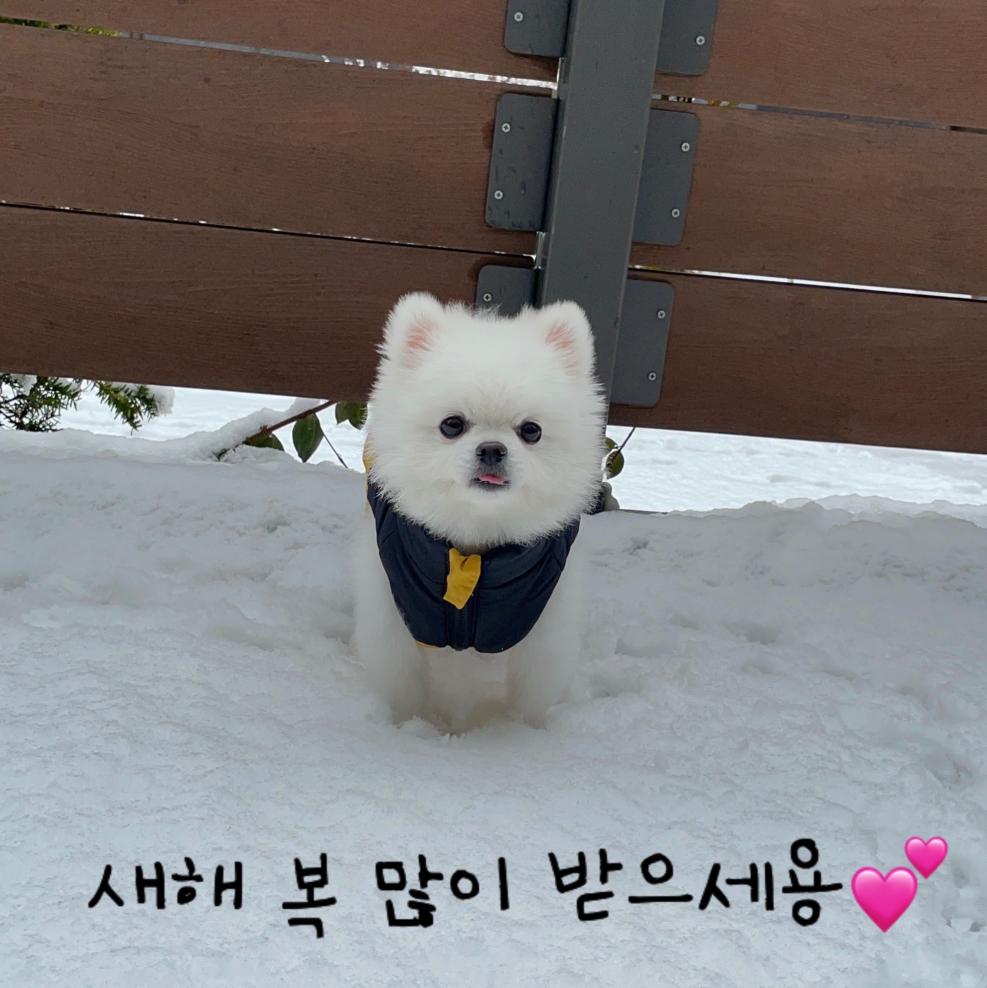 탱구리님의 스타일