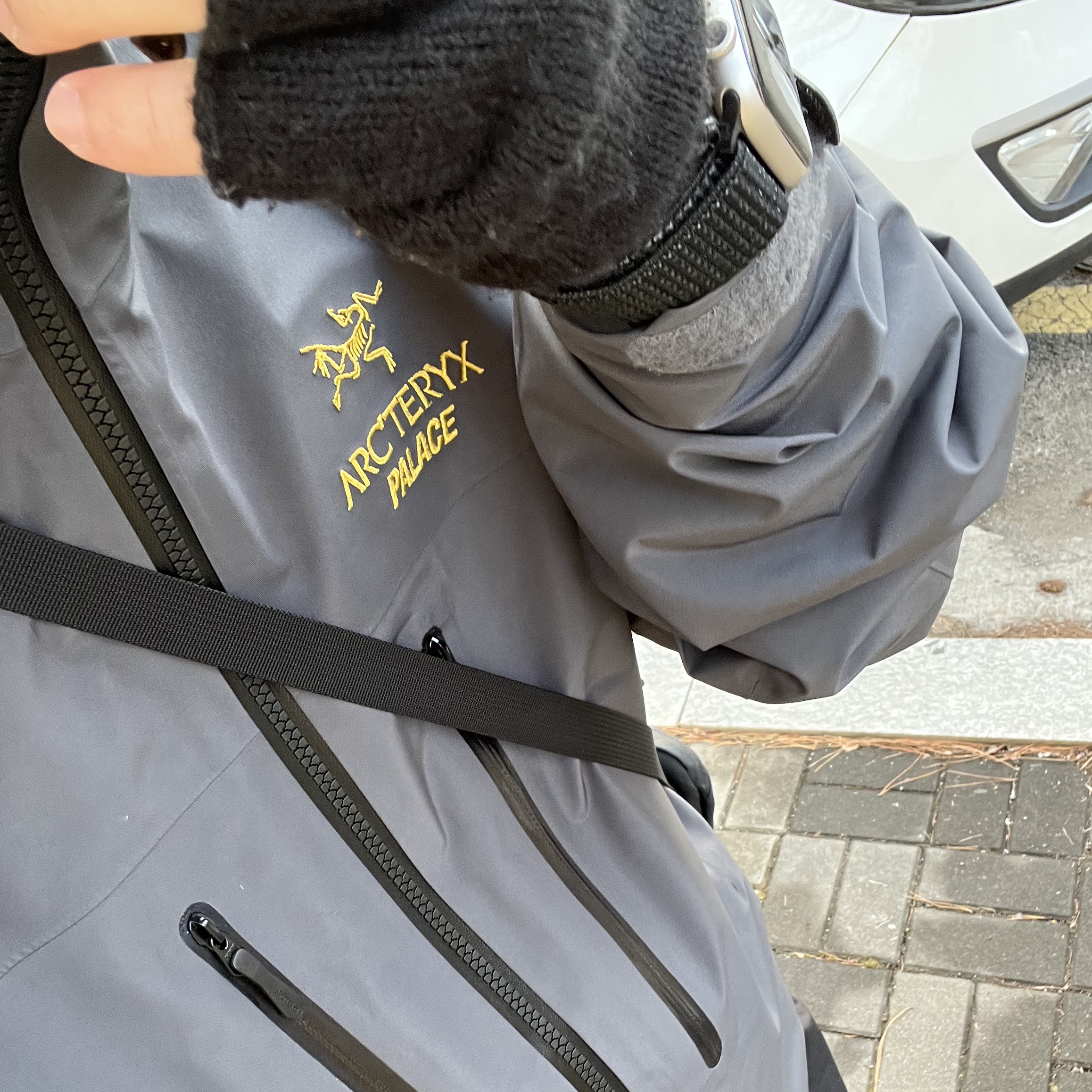 Palace x Arc'teryx Alpha SV Jacket Grey - 20FW 착용 스타일