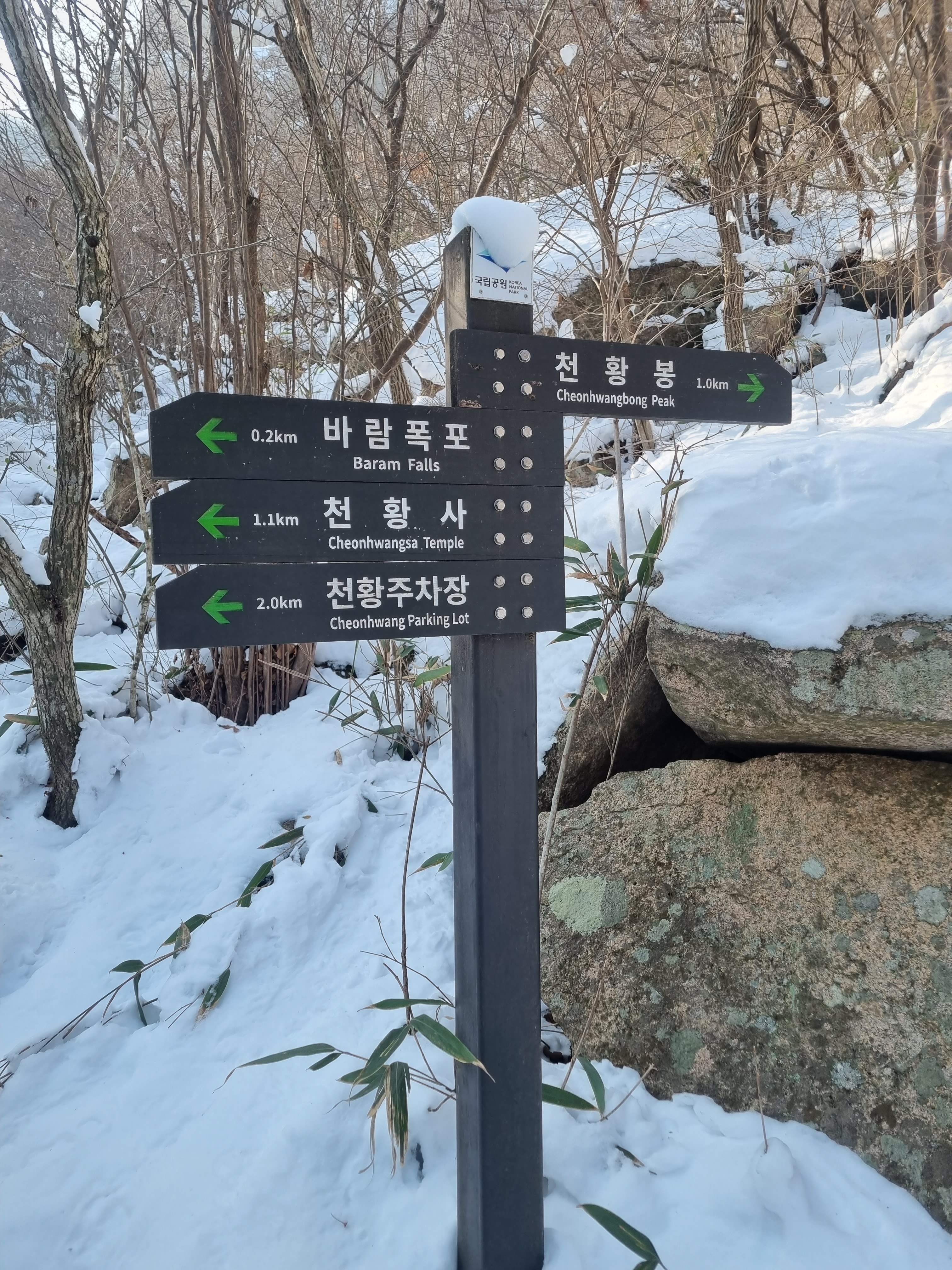 Nike ACG 36 Backpack Medium Olive, Nike ACG Ice Cave Long Sleeve T-Shirt Summit White - Asia 착용 스타일 - 5